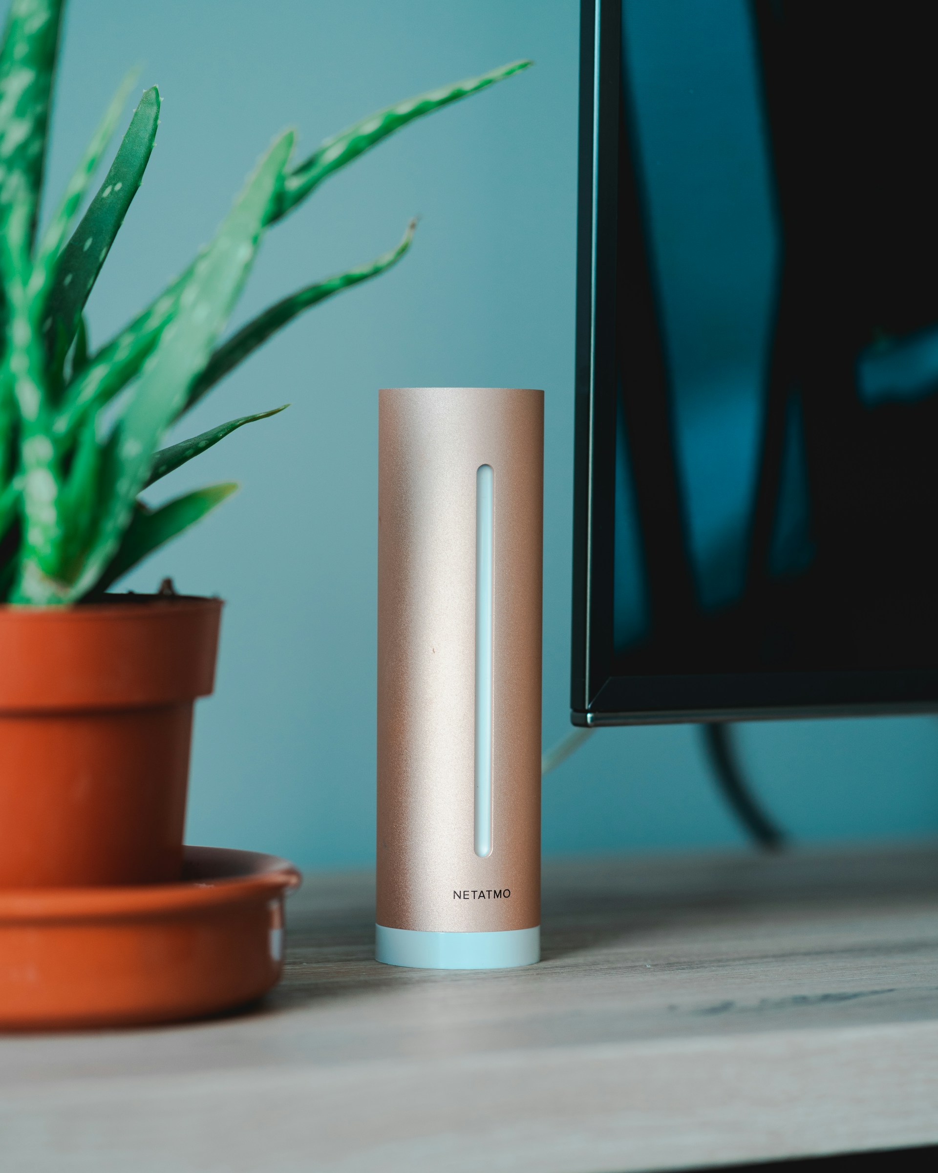 Close-up of a rose-gold Netatmo weather station module on a desk next to an aloe plant and a monitor.