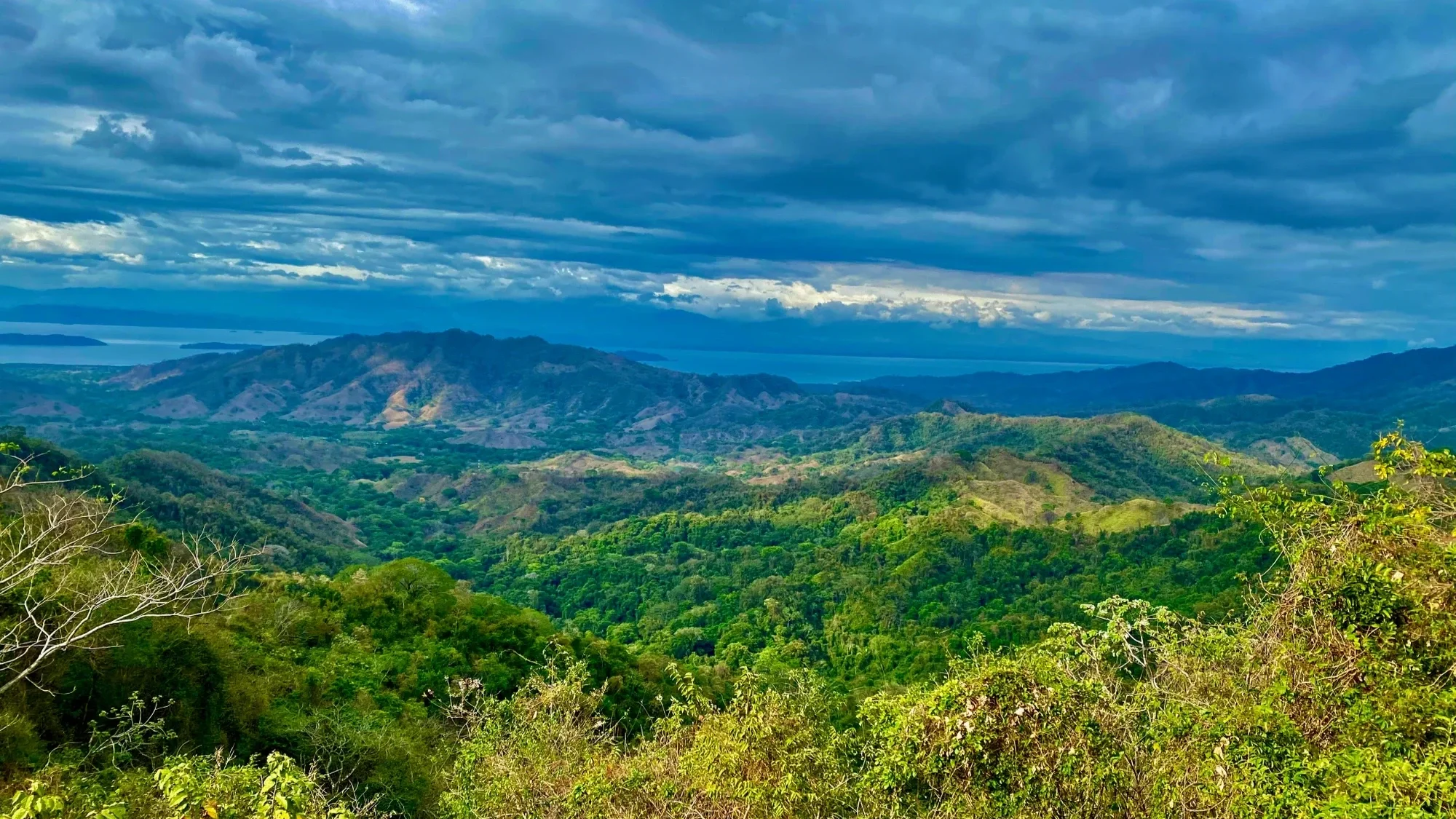 a black and white living room with a large tv