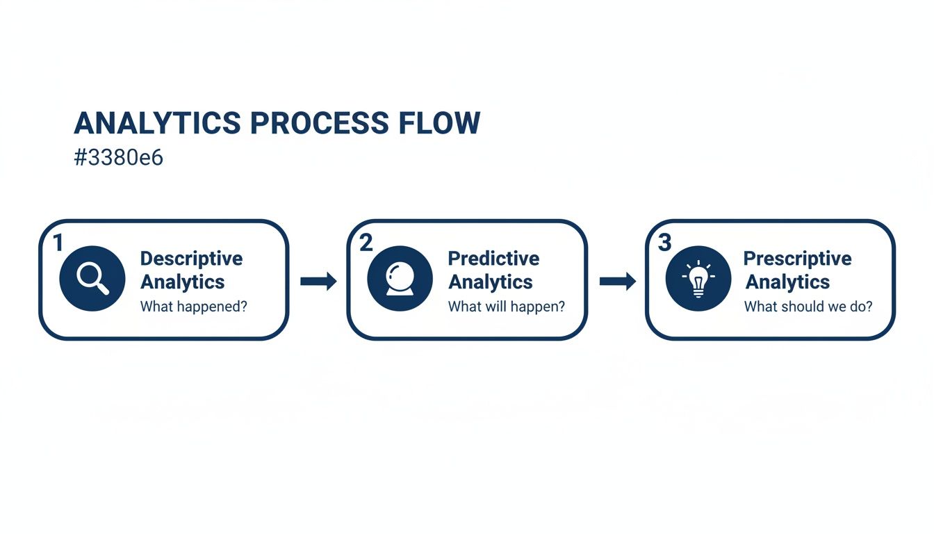 A diagram illustrating the analytics process flow: descriptive, predictive, and prescriptive stages.
