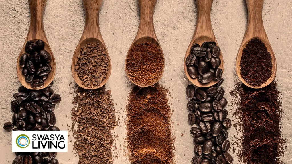Exploring Types of Coffee Beans And How To Choose Them