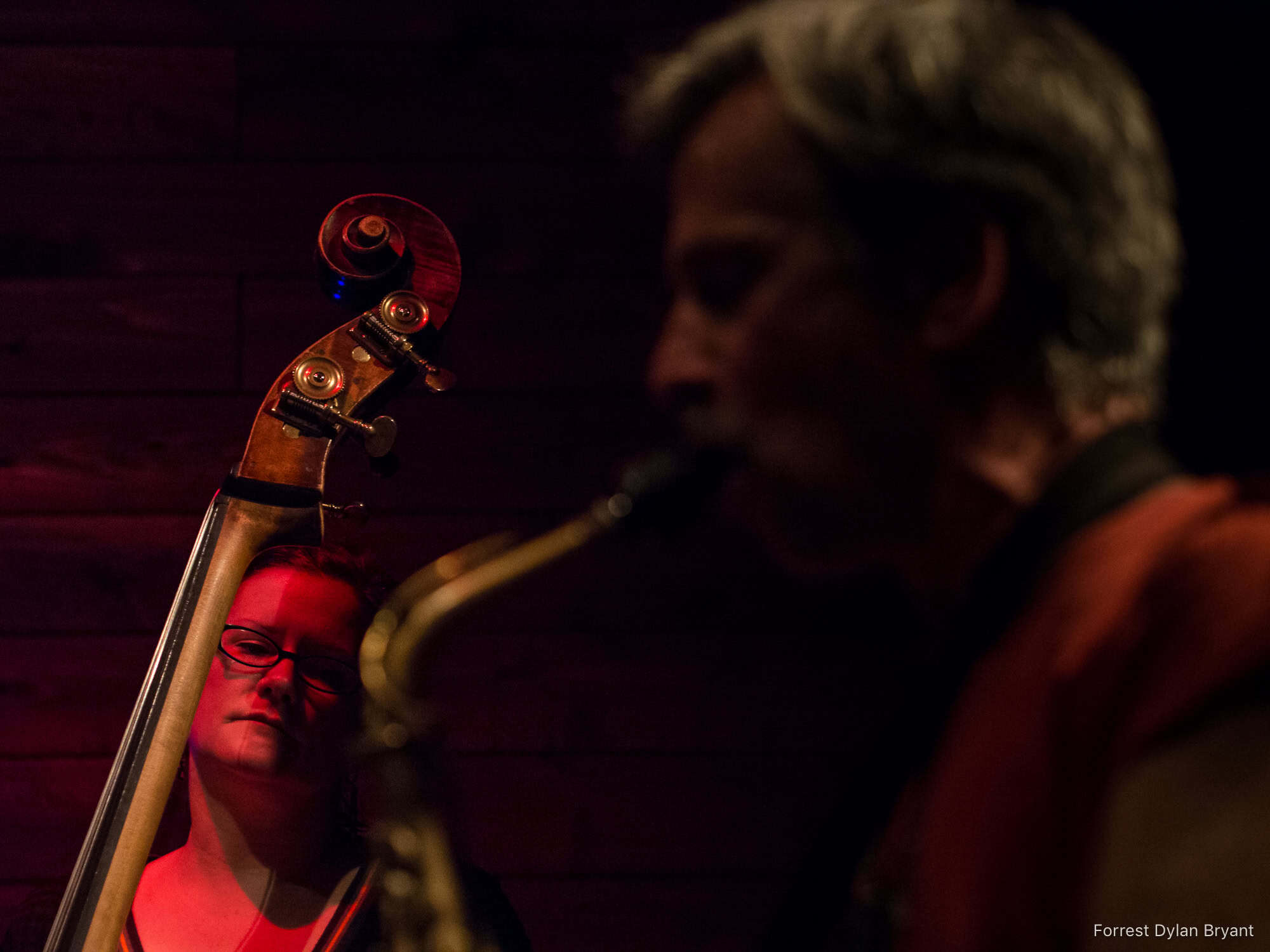 Bassist Lisa Mezzacappa and saxophonist Marco Eneidi in performance. Lisa’s face is framed by the instruments and a stage light’s glow.