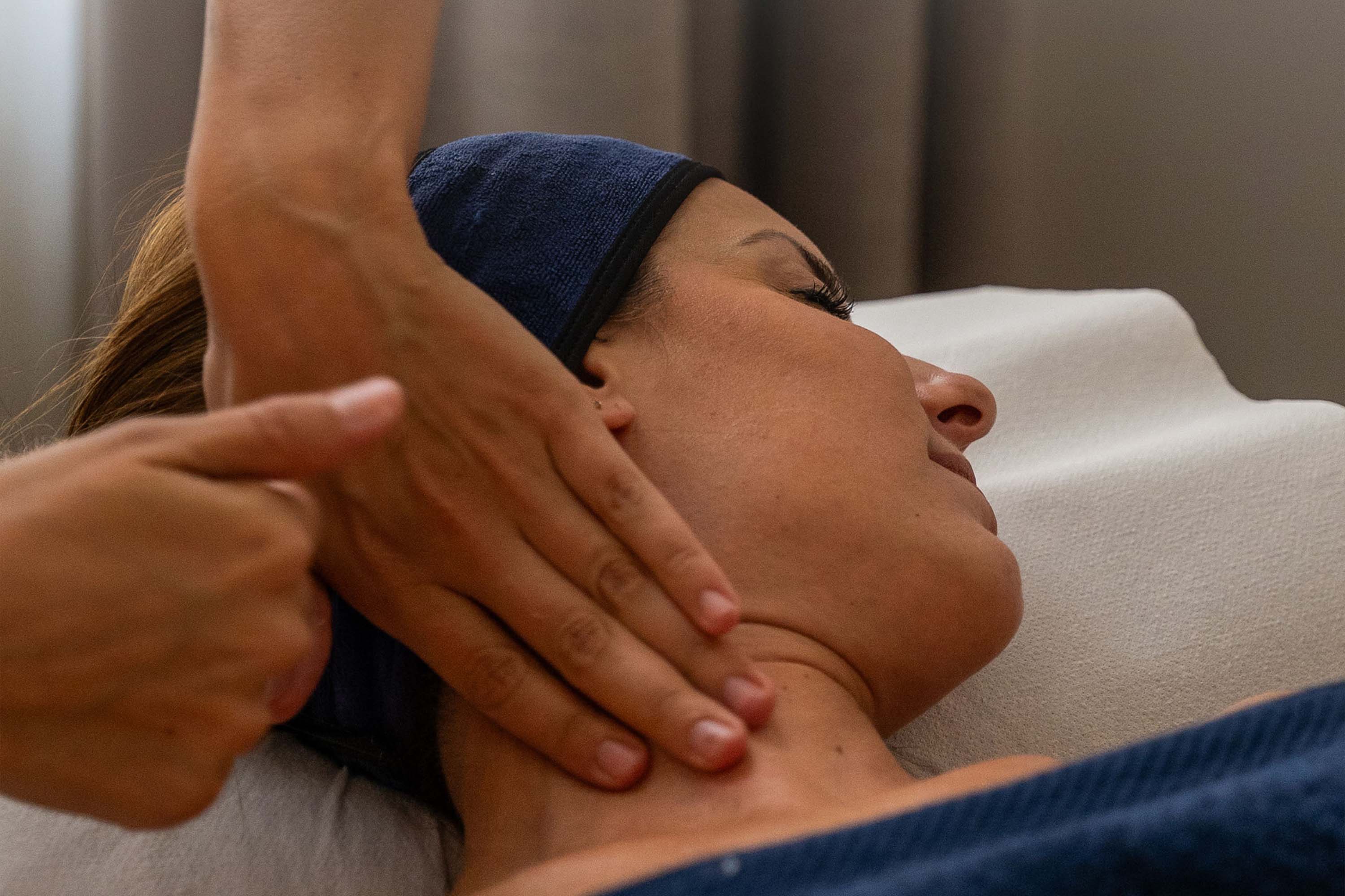 Close-up of lush, dark green leaves, some glossy and wet, against a muted background.