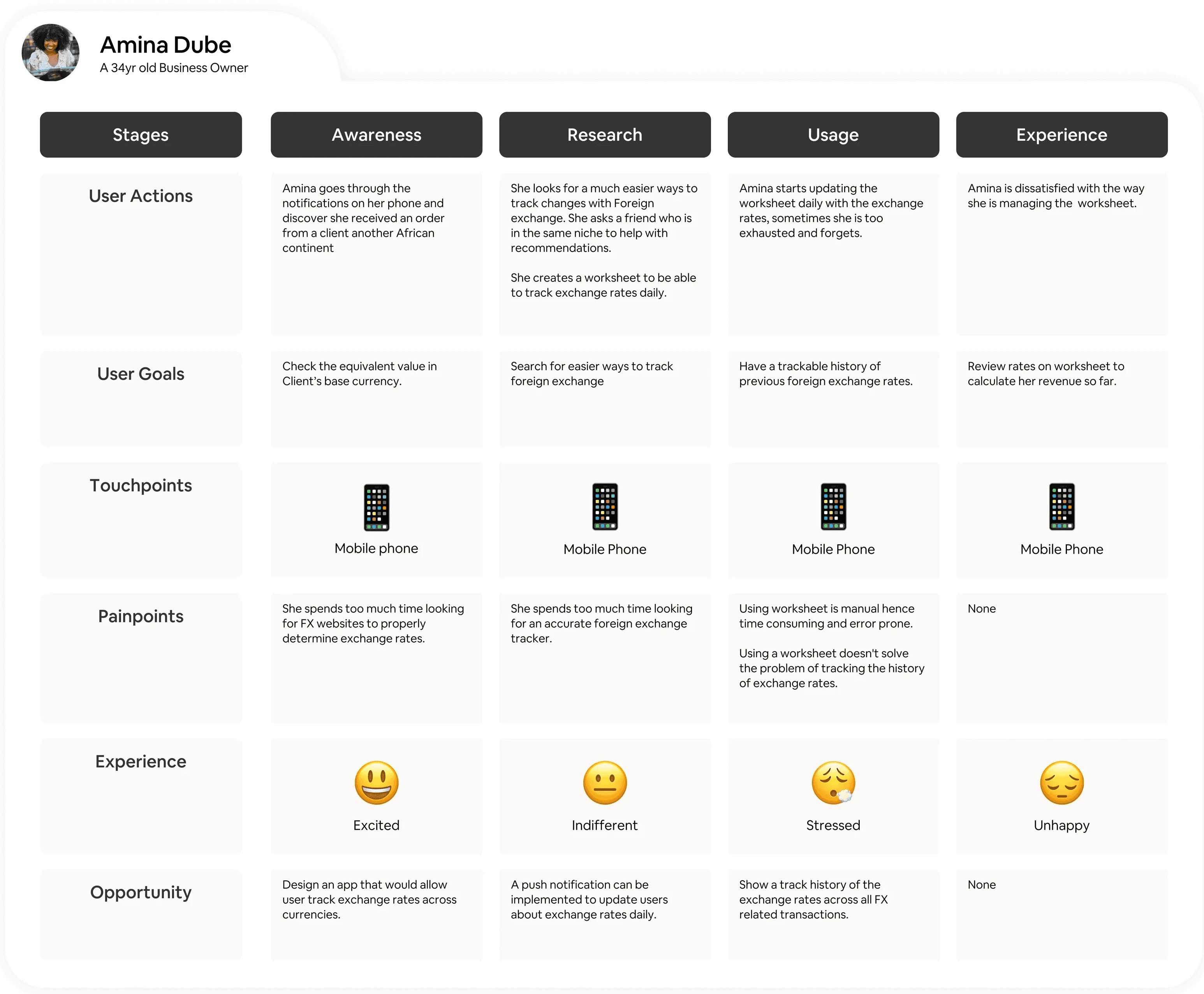 Amina's User Journey