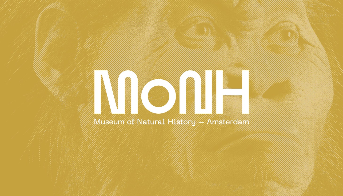 Logo design MoNH by Typefool