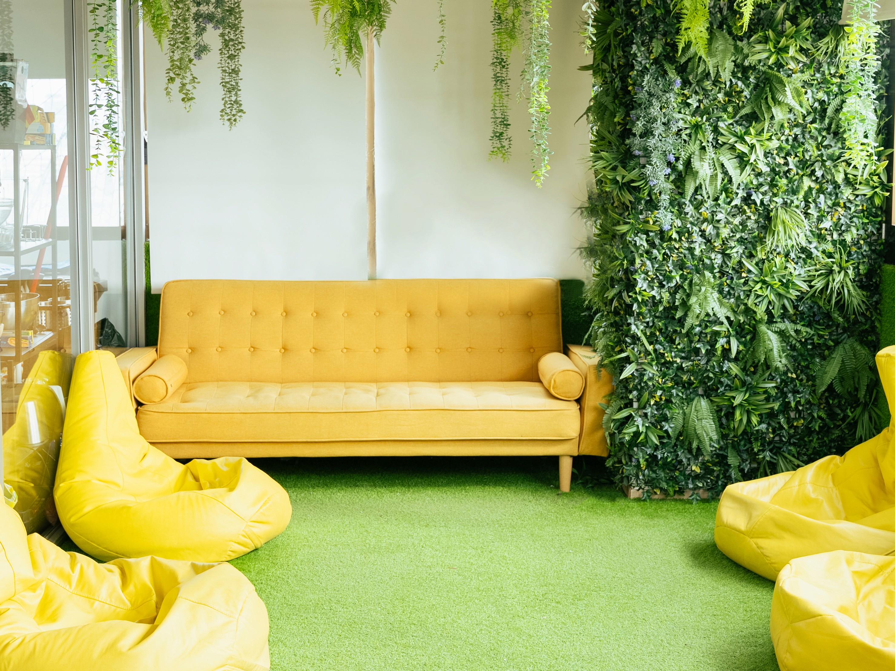 Photo of the office living area with plants and colourful chairs