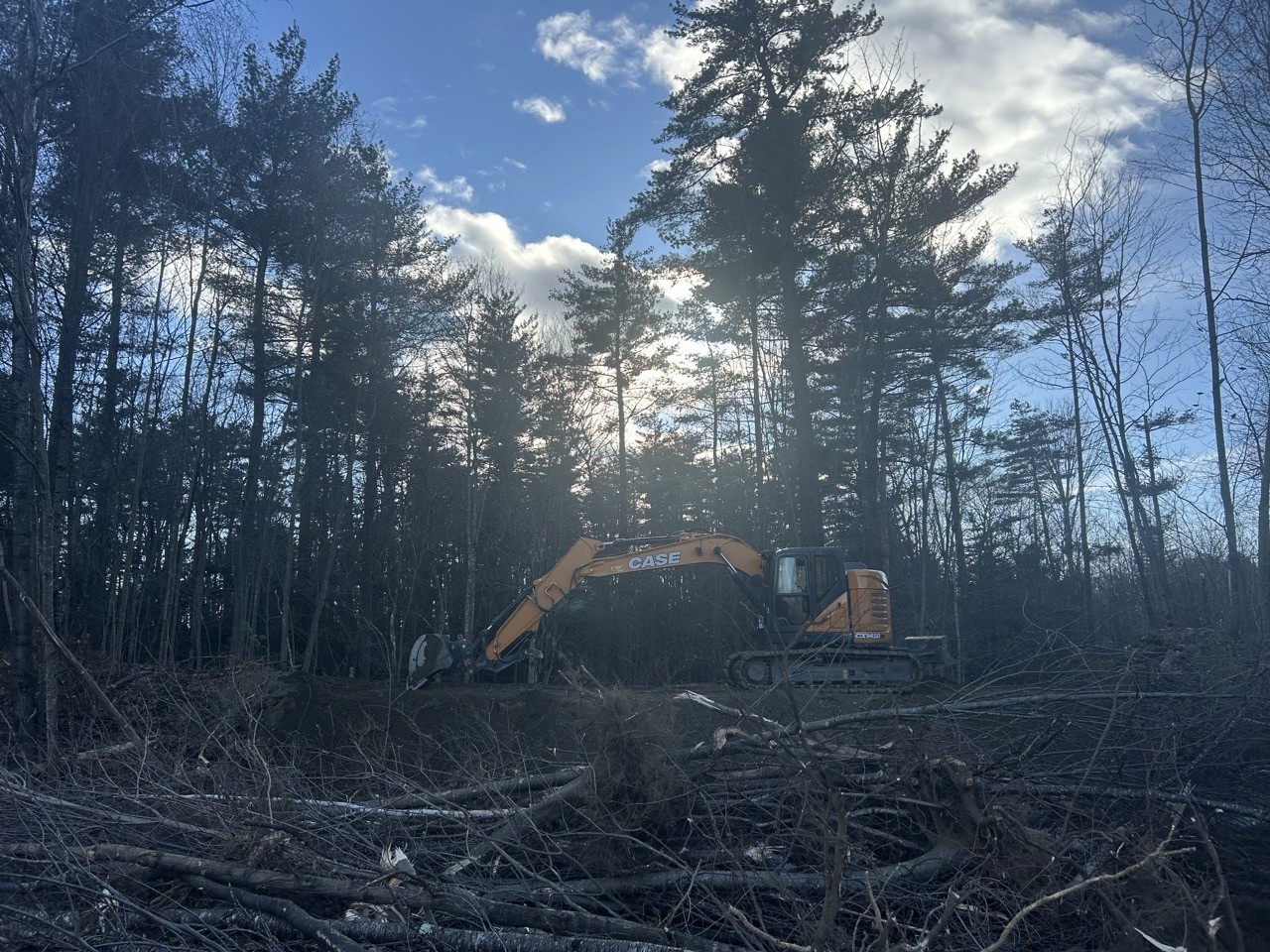 Excavator silhouetted against the sun while clearing woods