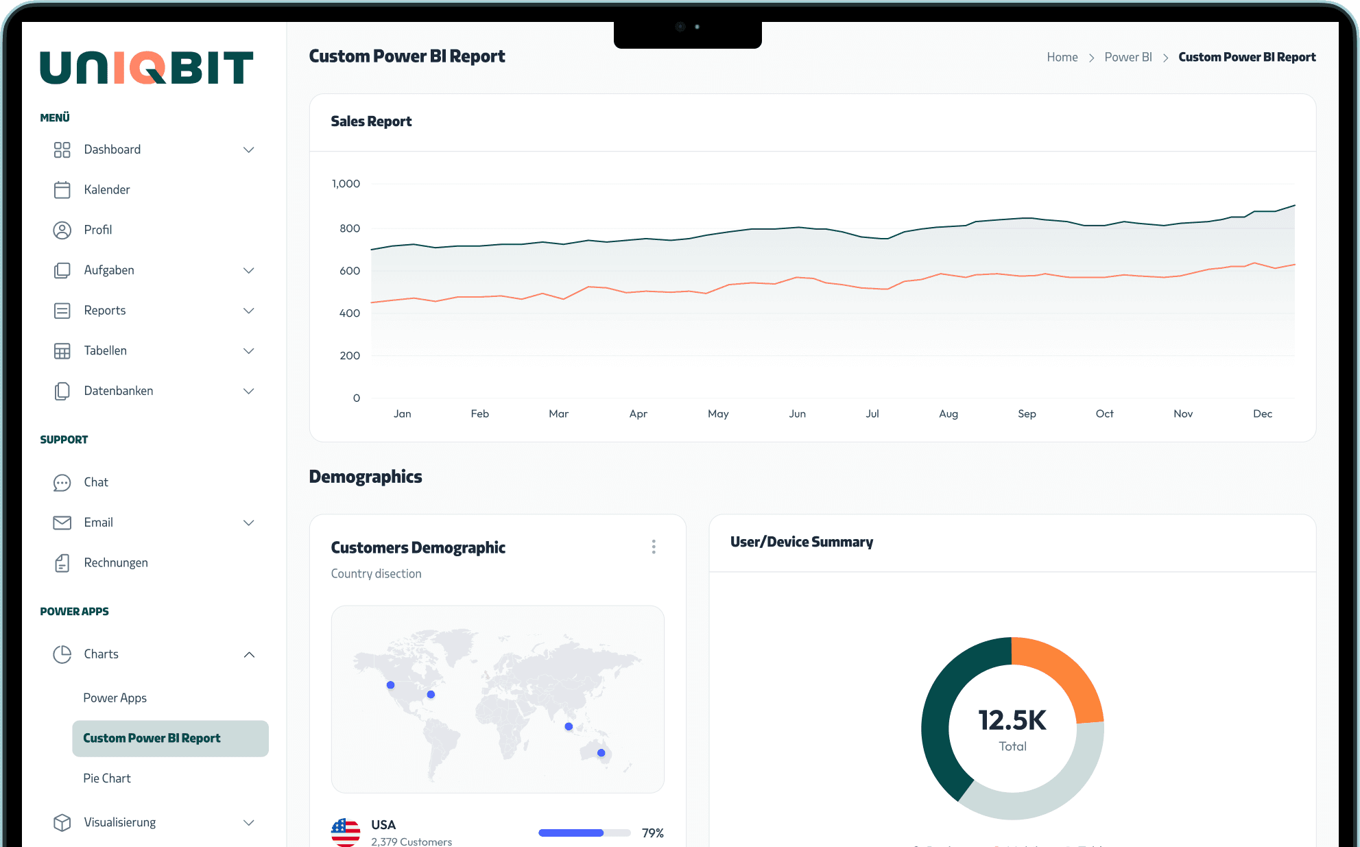 Visualisierung eines benutzerdefinierten power bi reports der firma uniqbit