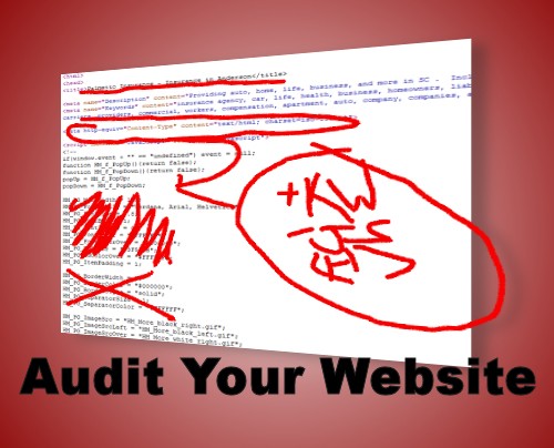 does-your-seo-campaign-need-a-full-website-audit - go-local-search (openverse)