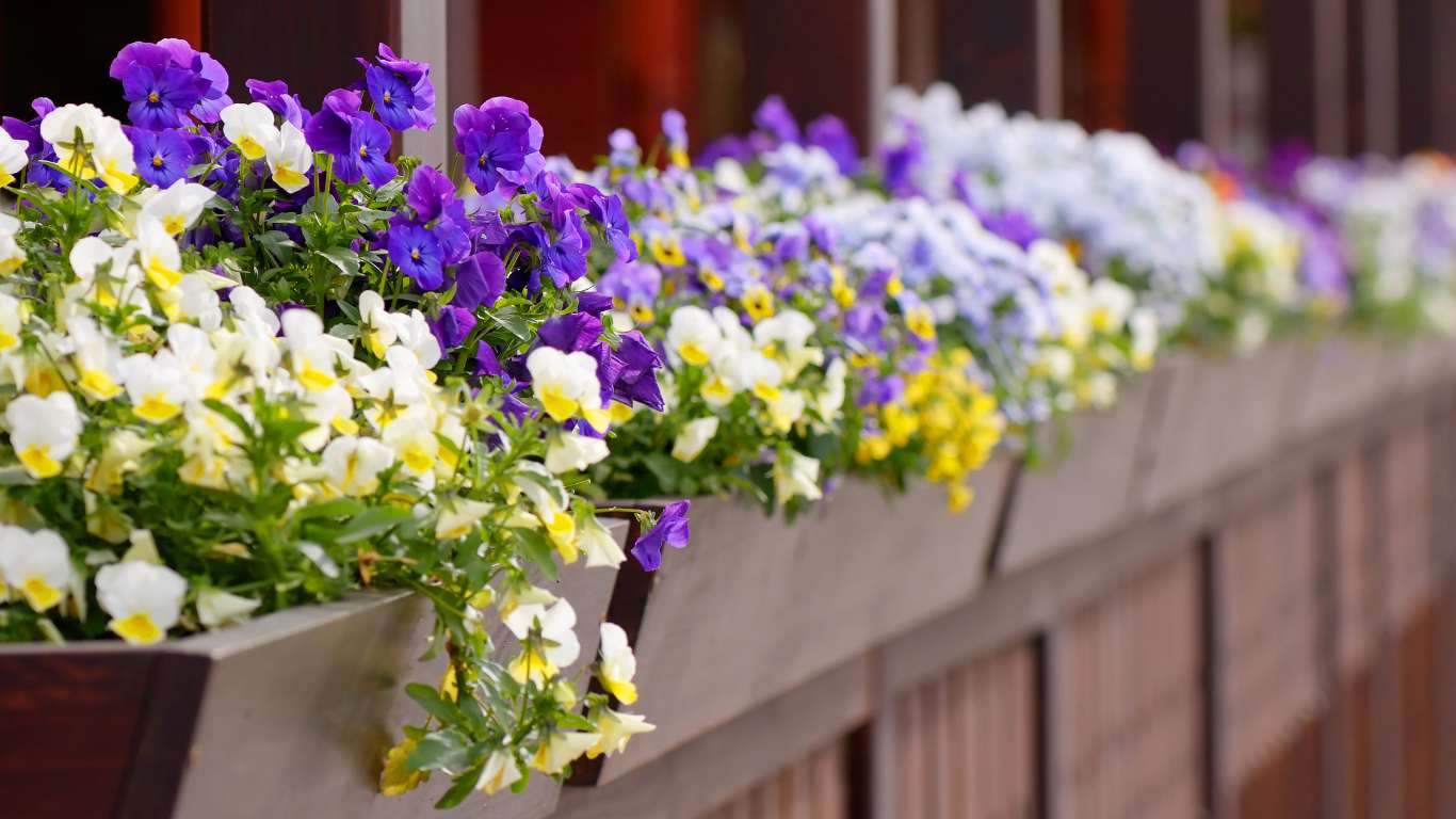 Residential Flower Bed Edging