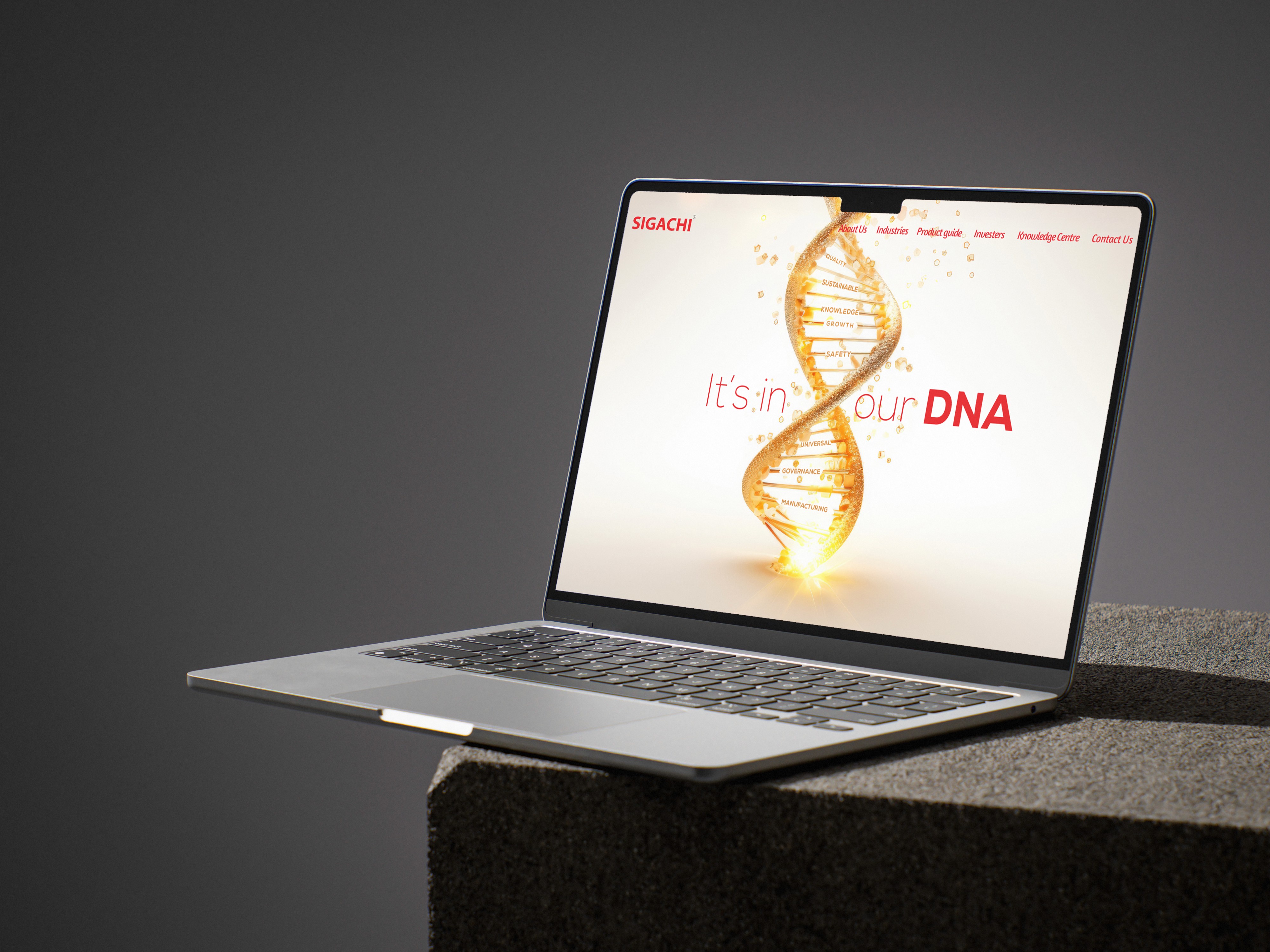 Portfolio project image