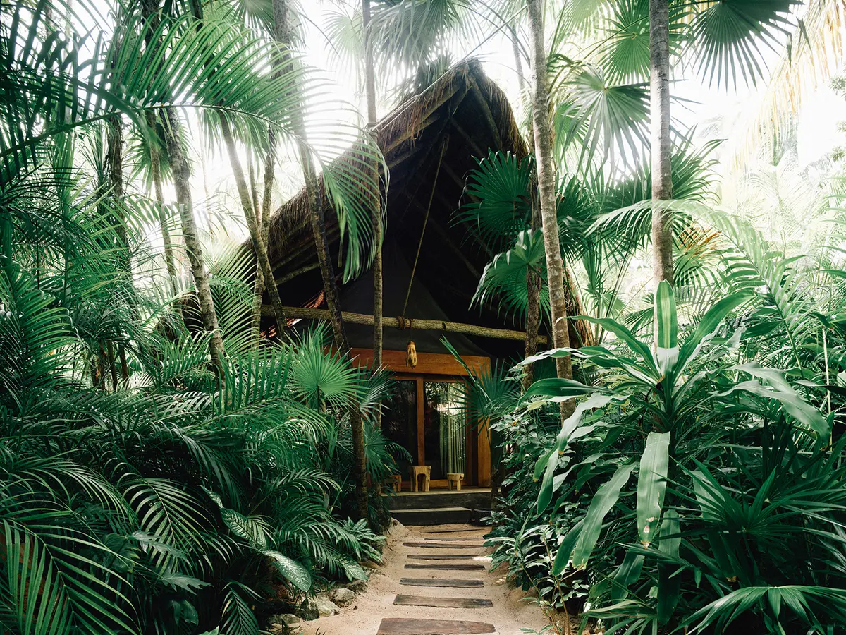 Deluxe Tent at Nômade Tulum featuring Moroccan-style cabin with large trees and jungle atmosphere.