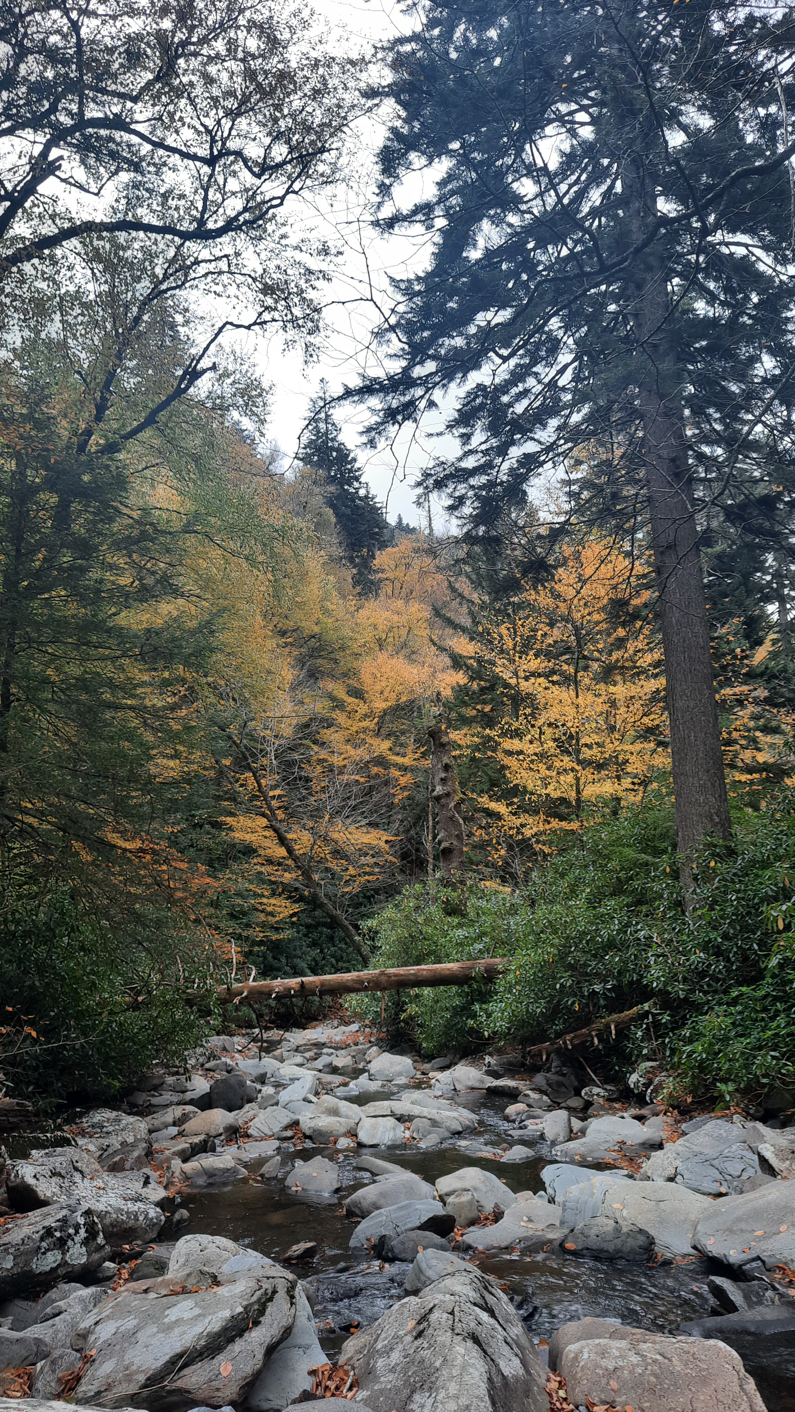 people in a large building with Tate Modern in the background