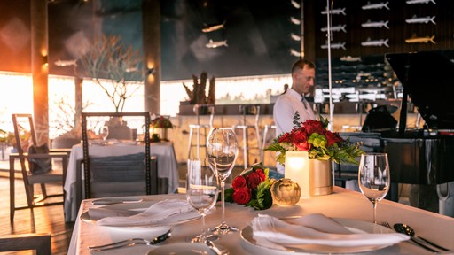 Valentine’s Day in Aragu