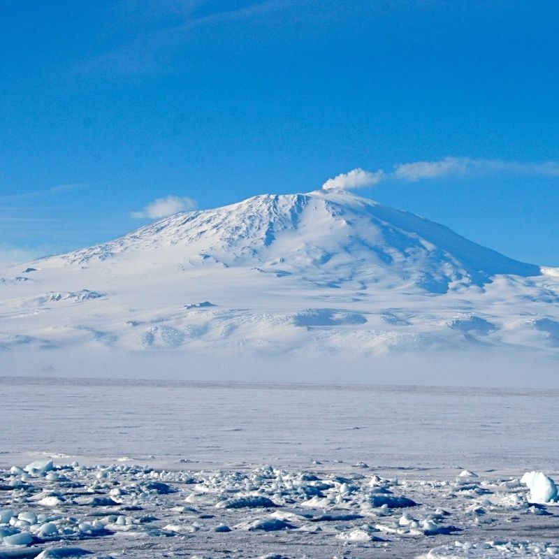 Snow-covered Mount Erebus rising above Antarctic sea ice, with a plume of volcanic gas drifting from its summit beneath a clear blue sky..