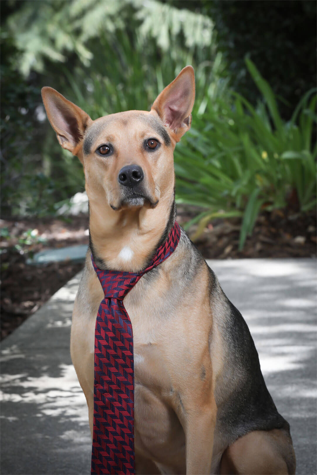 Nike Lawrence, Chief of Security & Company Morale. Sims, Lawrence & Broghammer.