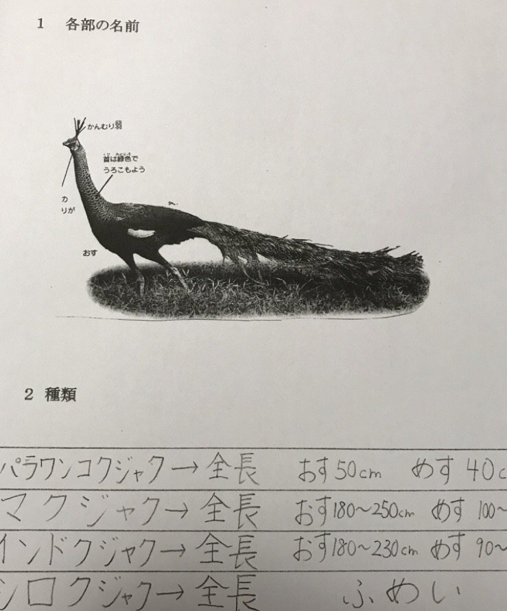 宇宙人への取り扱い説明書
