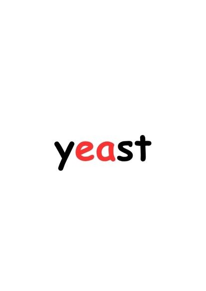 Flash card yeast