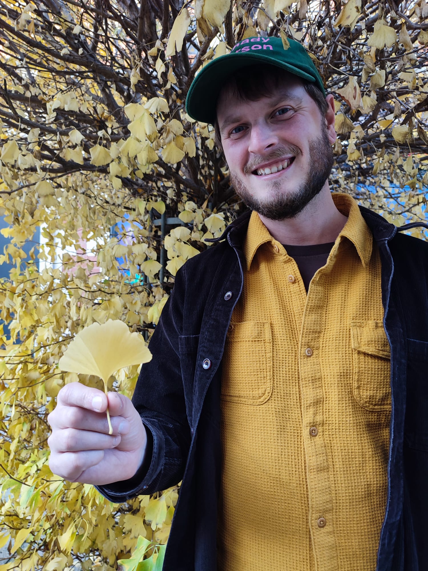 Creative workspace or desk setup image