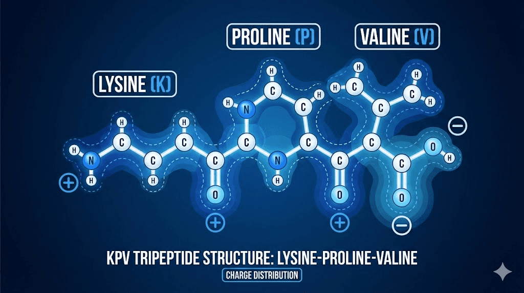kpv peptide for imflamation