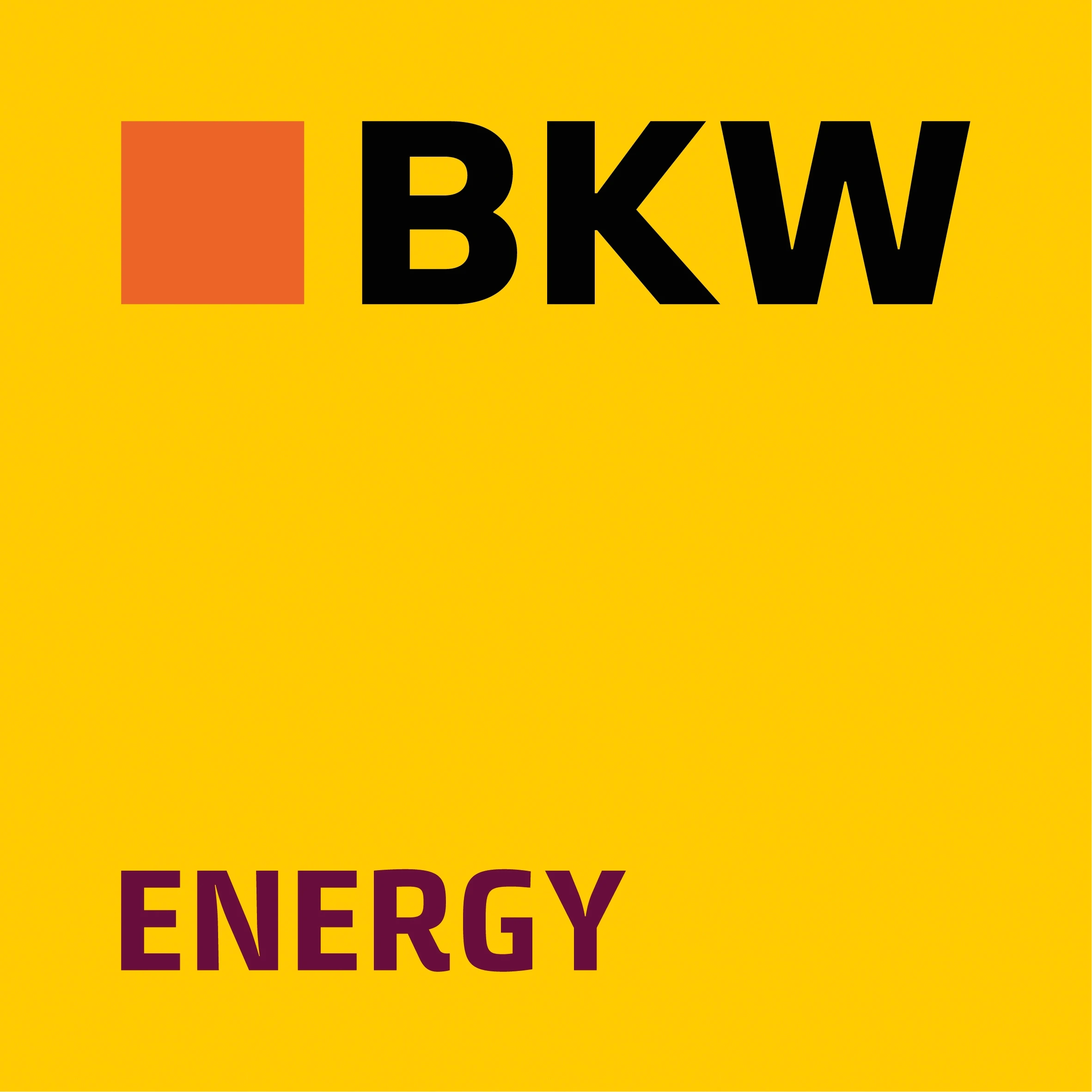 company logo of BKW