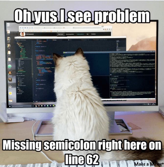Cat Coding Memes