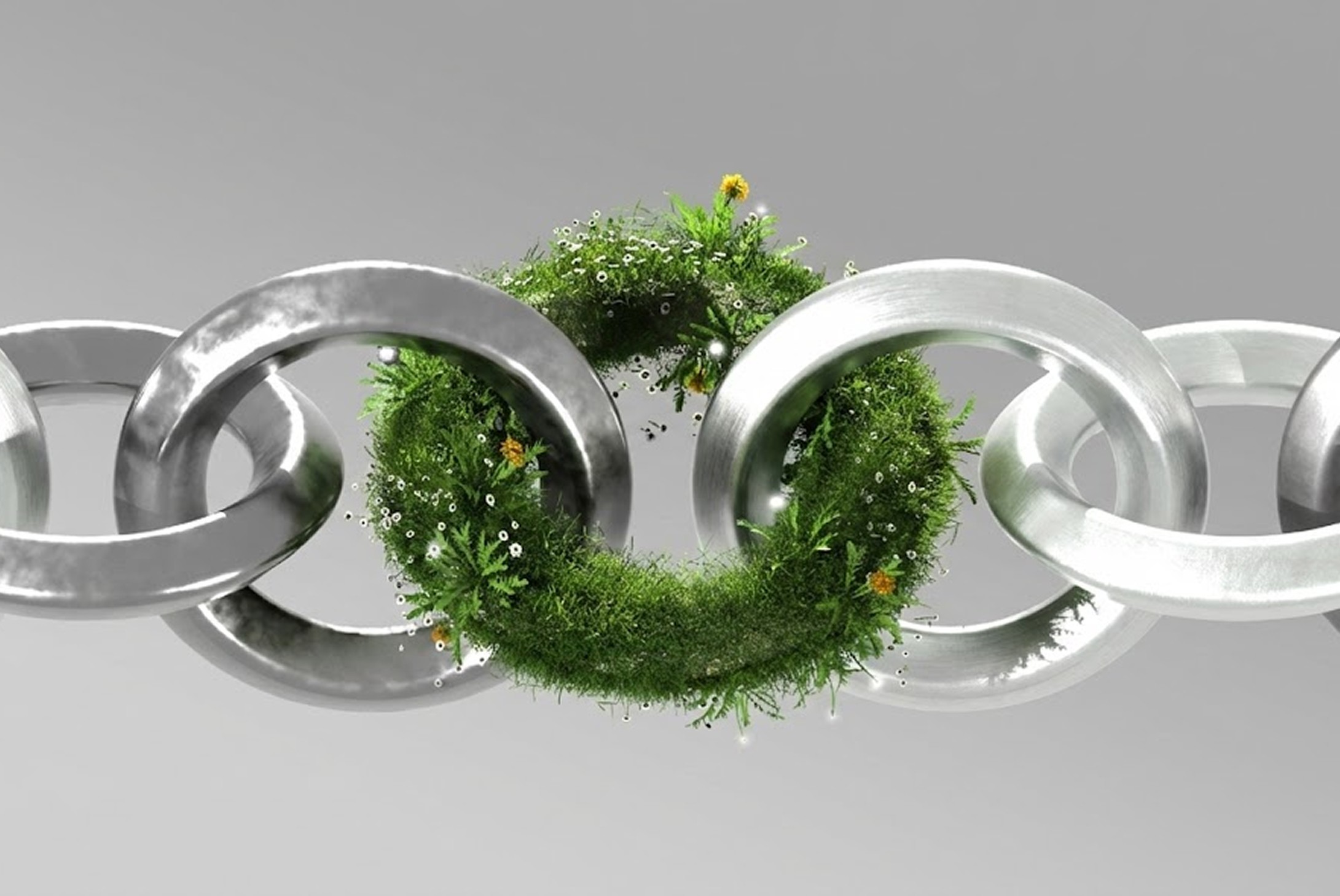 A Circular Socio-Economic Concept