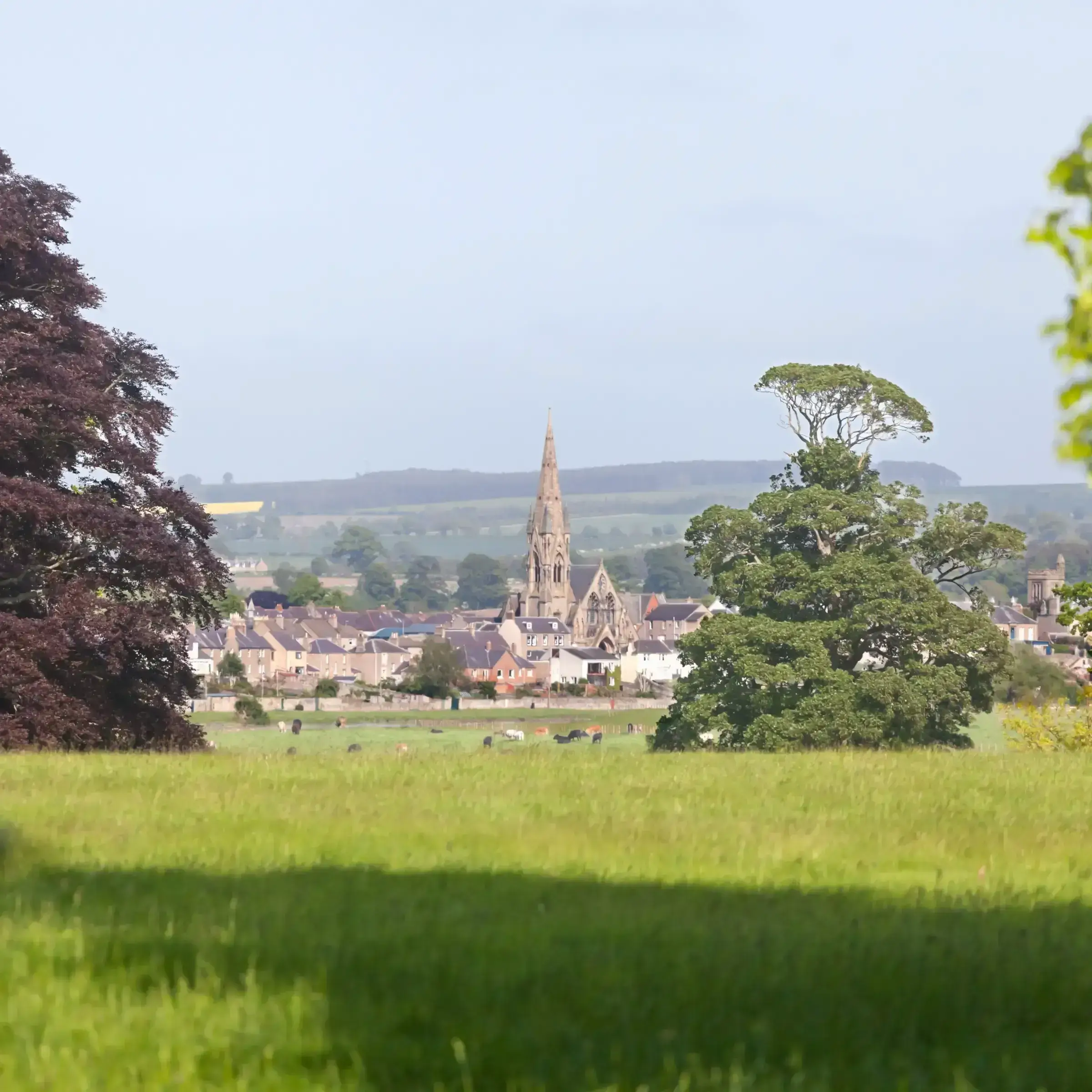 A scenic view of a lush green field in the foreground, with a peaceful village in the background. A tall church spire rises amidst quaint houses. Shadows from large trees create contrast, conveying a serene and pastoral atmosphere.
