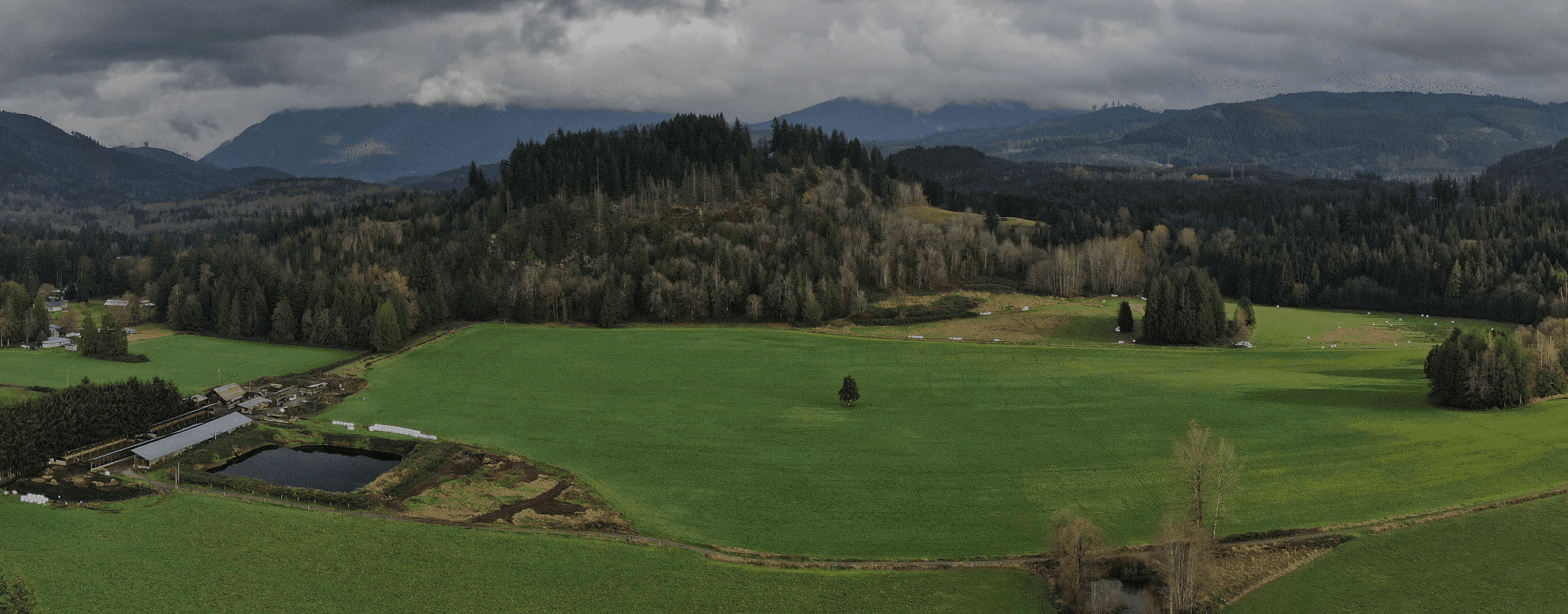 Aerial view of green farmland, ponds, and rolling hills at Rooted Northwest.