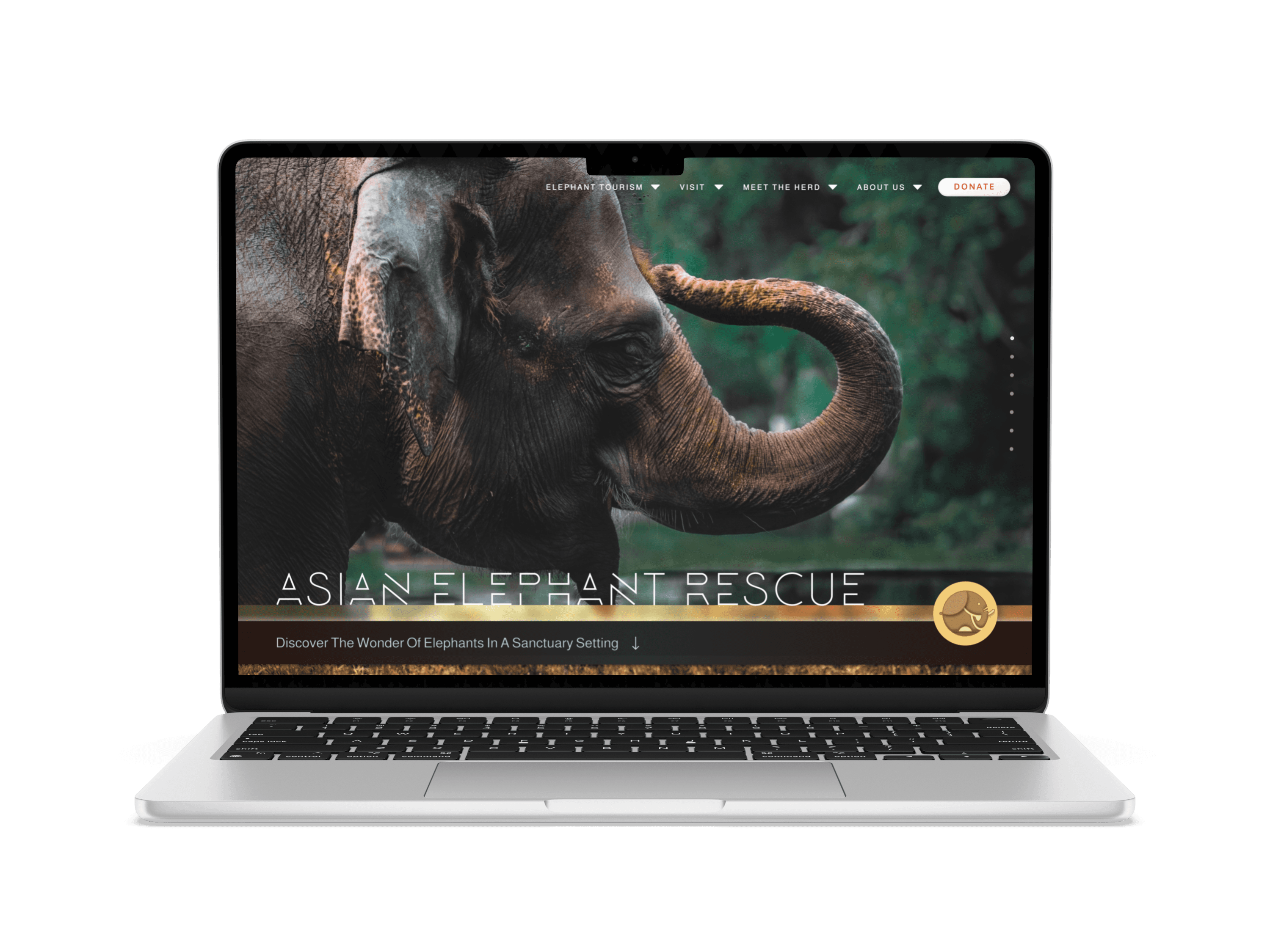 Splash screen of the Asian Elephant Rescue website featuring an elephant's face with lifted trunk and company logo.