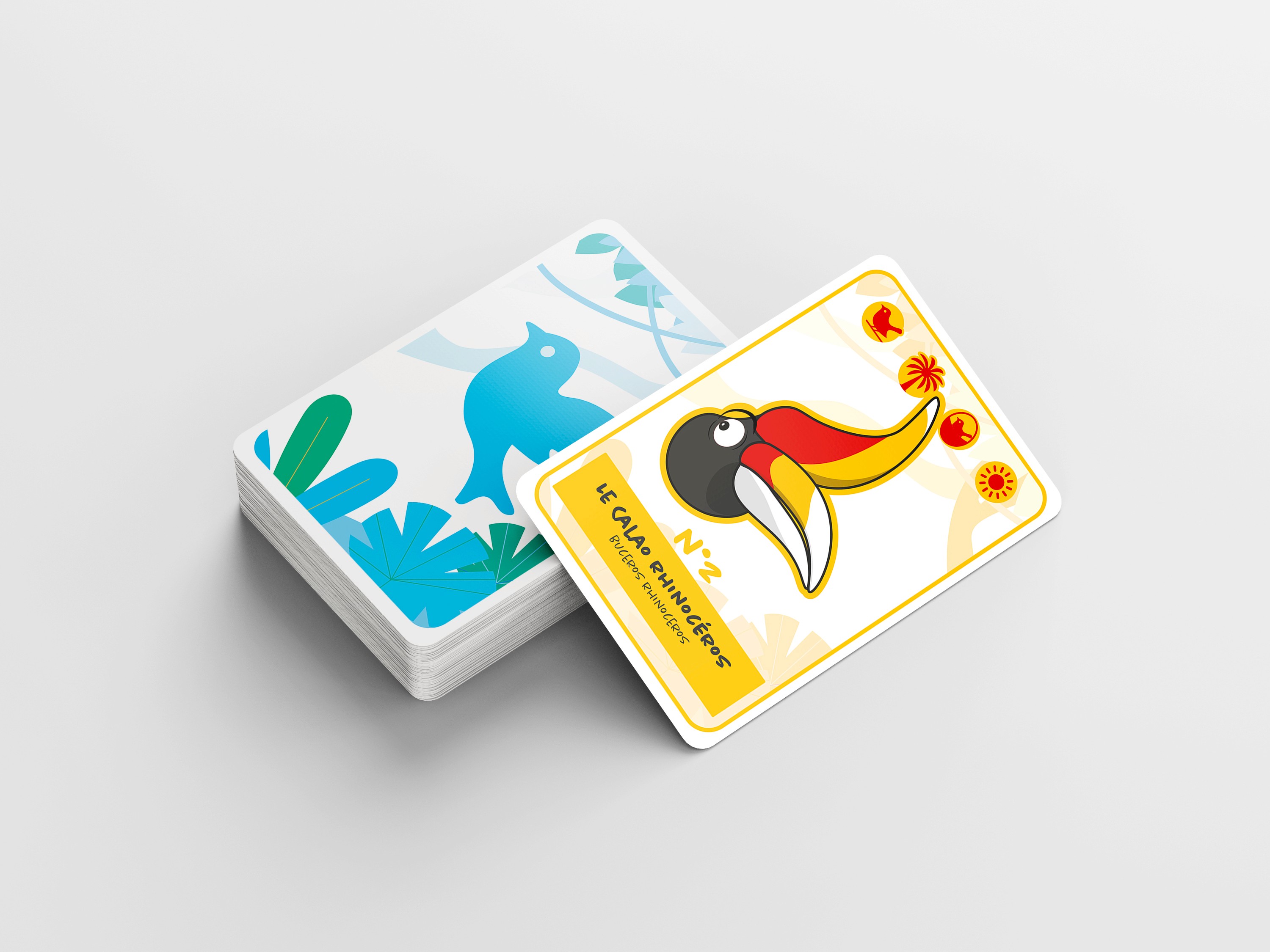 Mockup Carte ornithologie