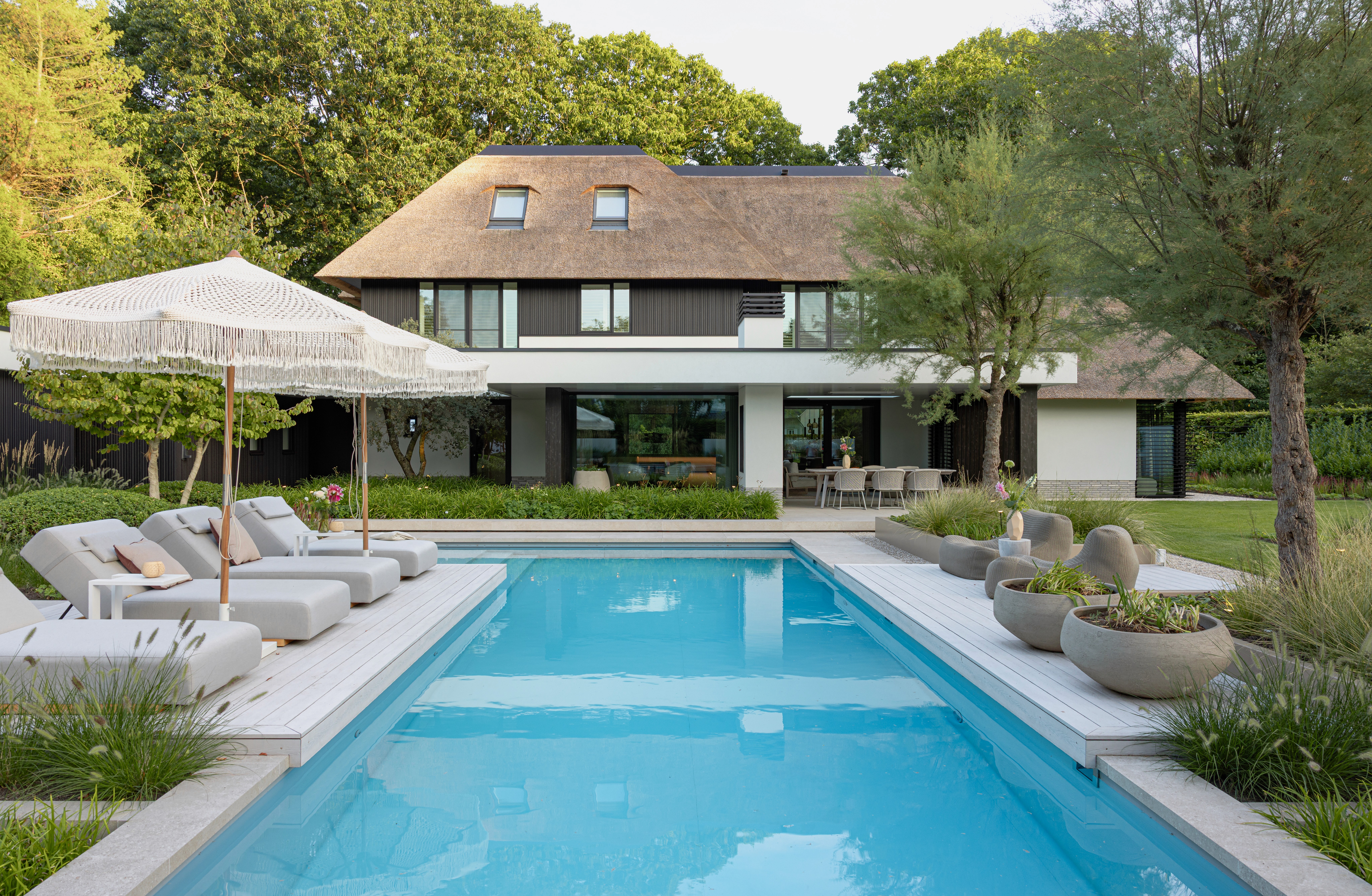 Here comes the alt text