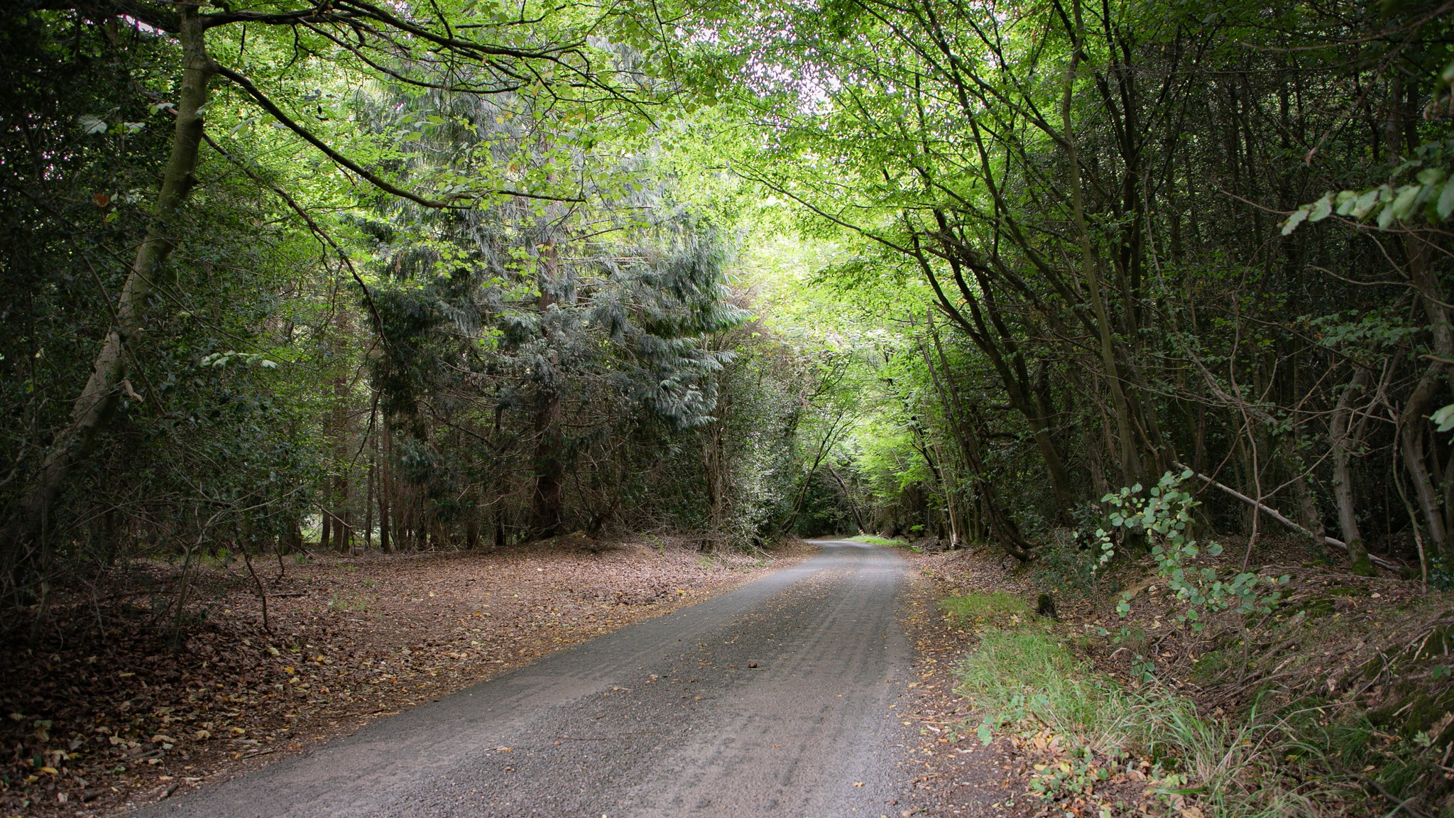 Young woman looking out a window at night