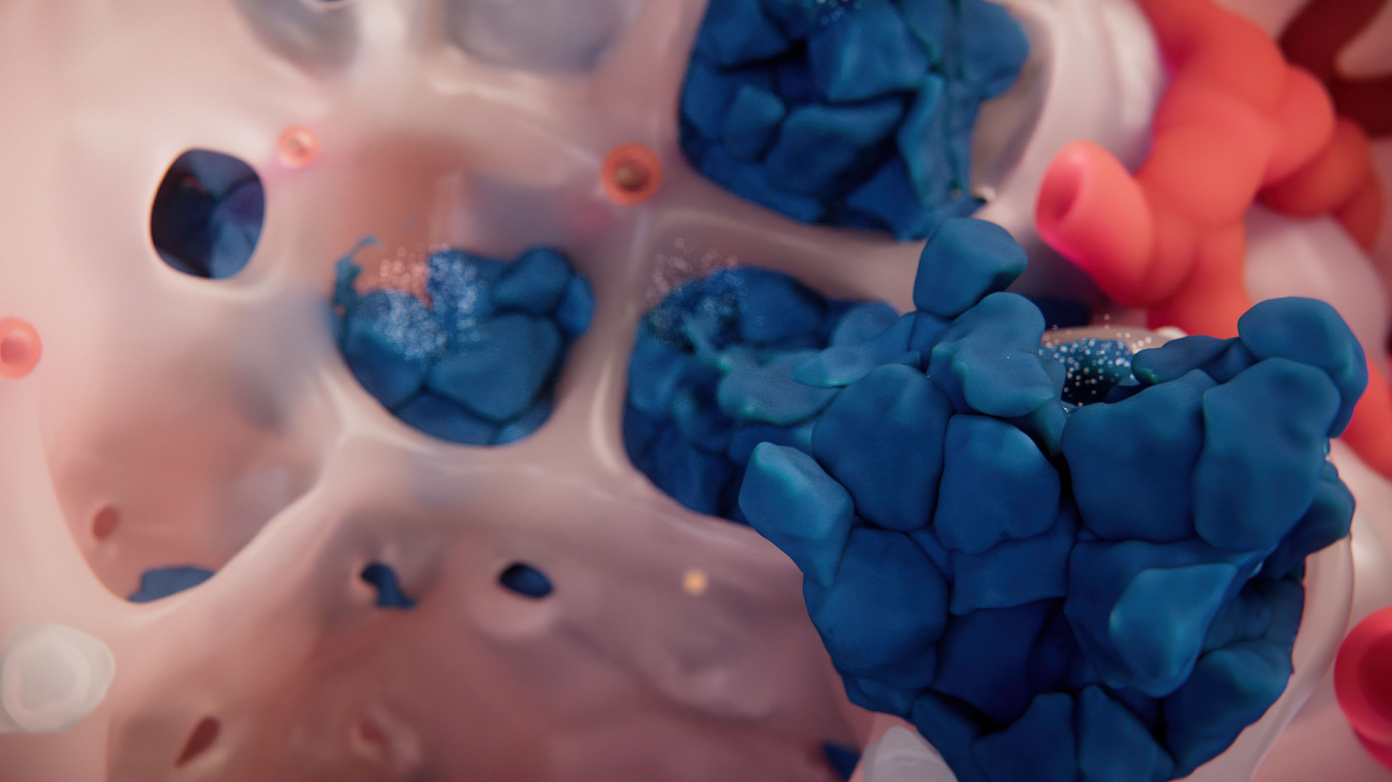 Immune cells attack NSCLC cells