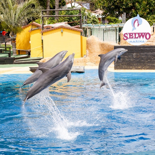Selwo Marina: Entrada en Benalmádena