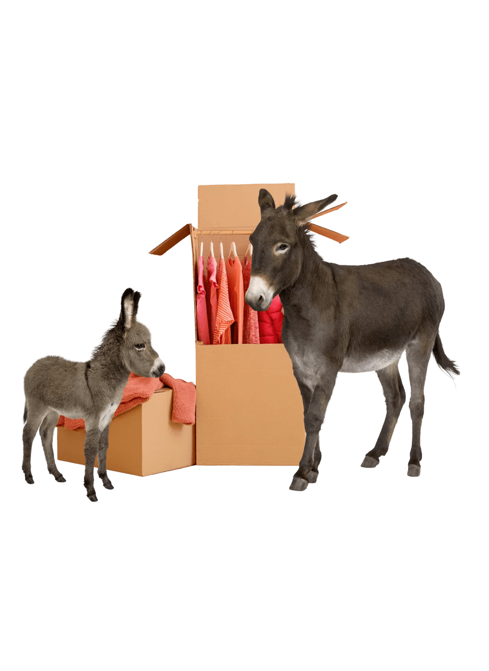 Vancouver mini storage for boxes