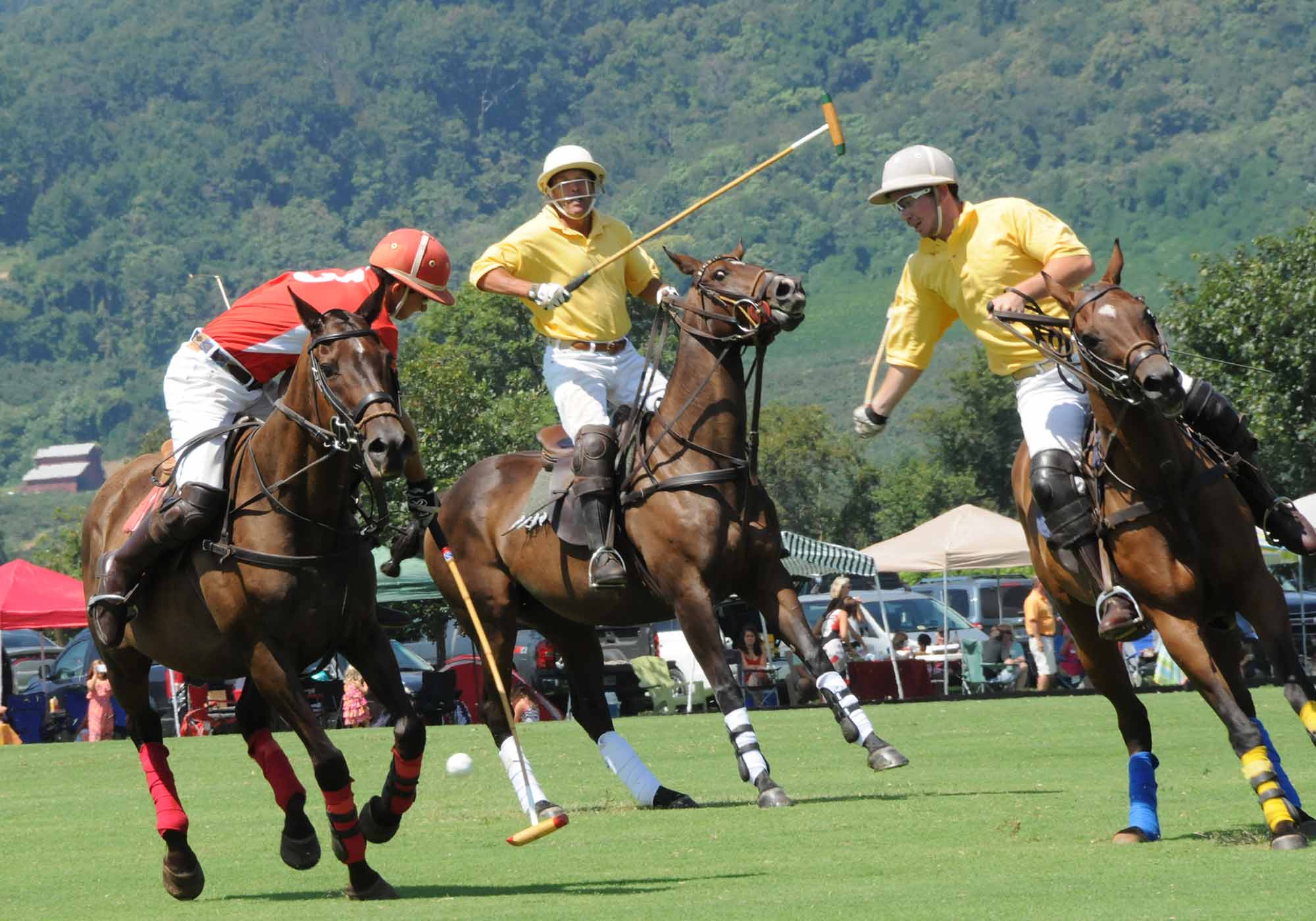 Visit Roseland Polo Club in Crozet Virginia