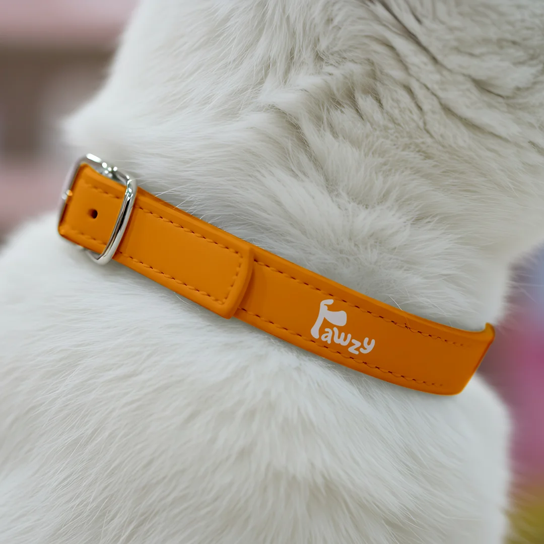 Zgarda cu logo concepută pentru Pawzy