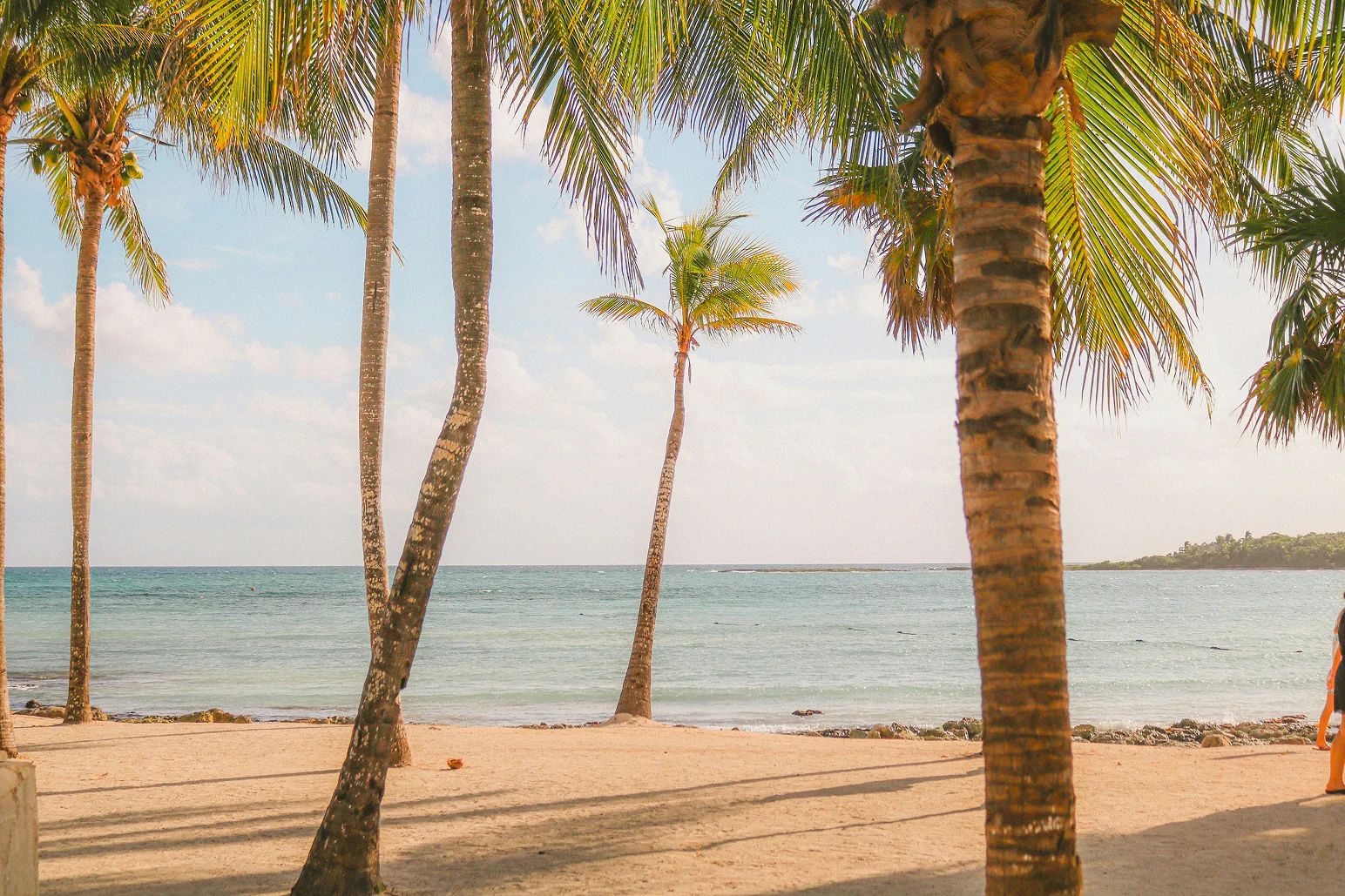 bbackground tropical beach resort