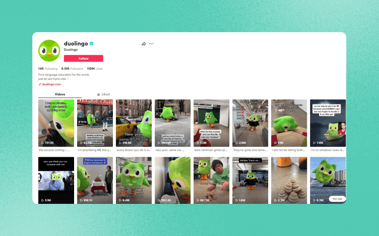 Duolingo Owl Tiktok
