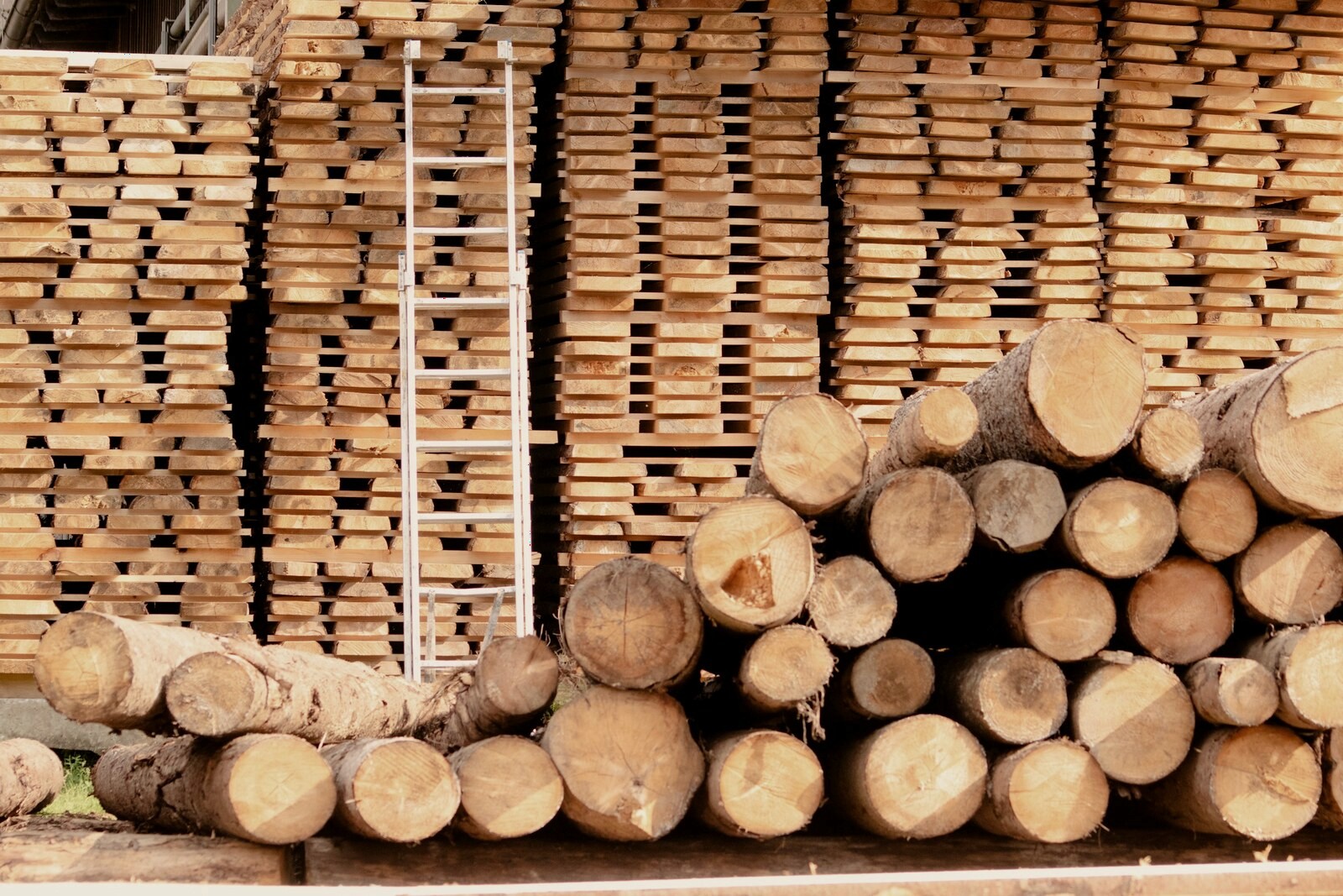 The timber yard at Kingsholt