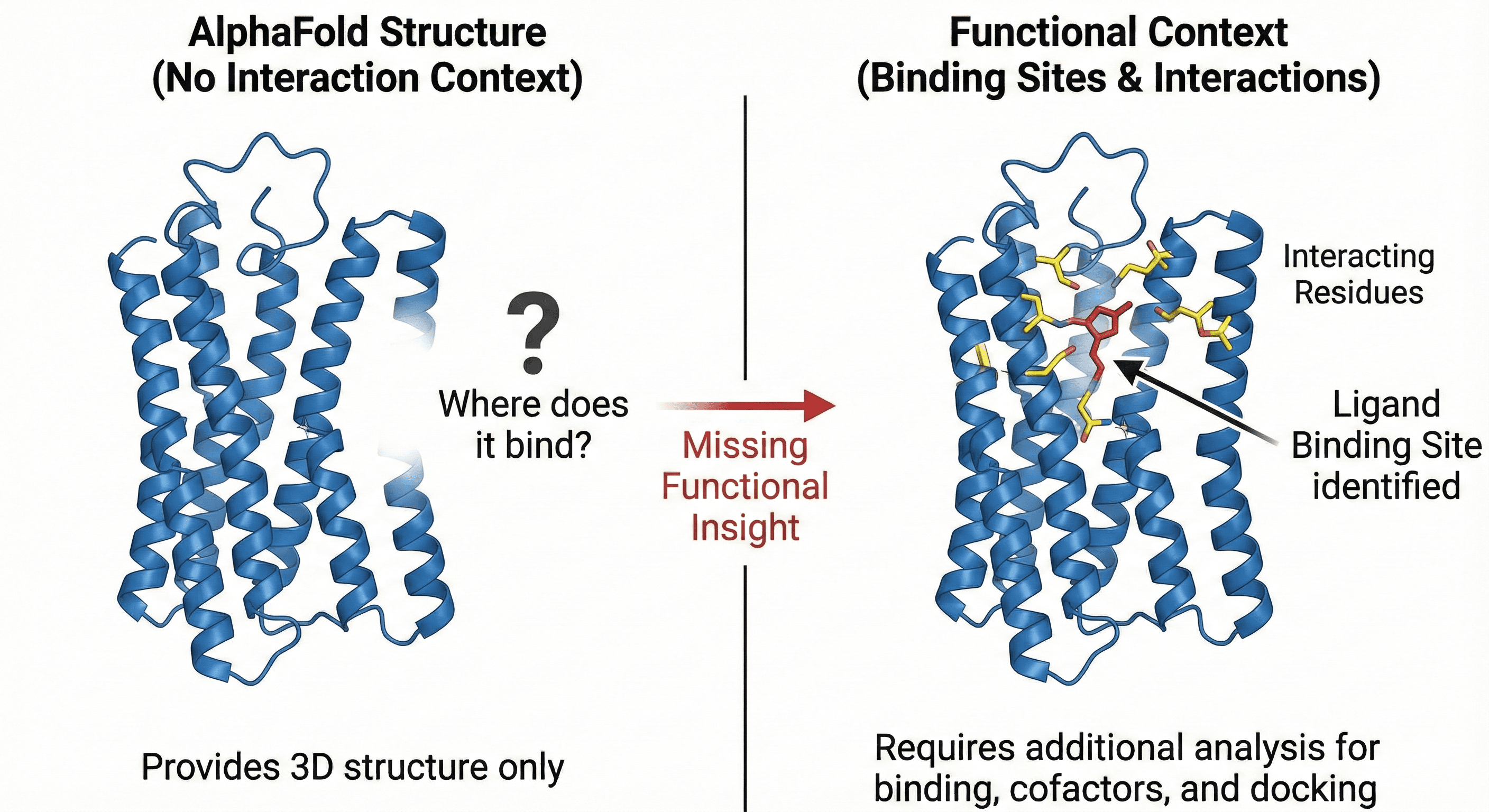 Diagram Showing the Functional Context Affecting Structure