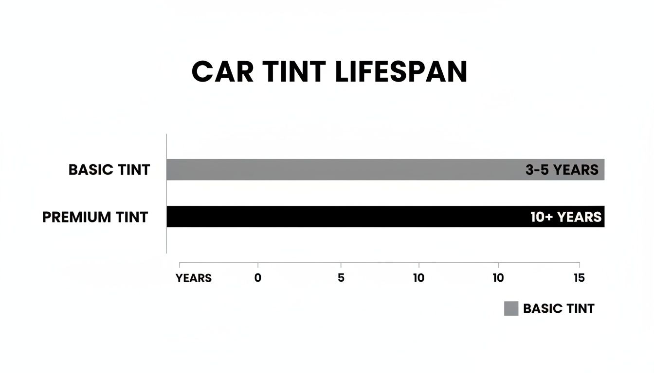 Bar chart illustrating car tint lifespan, comparing basic tint (3-5 years) with premium tint (10+ years).