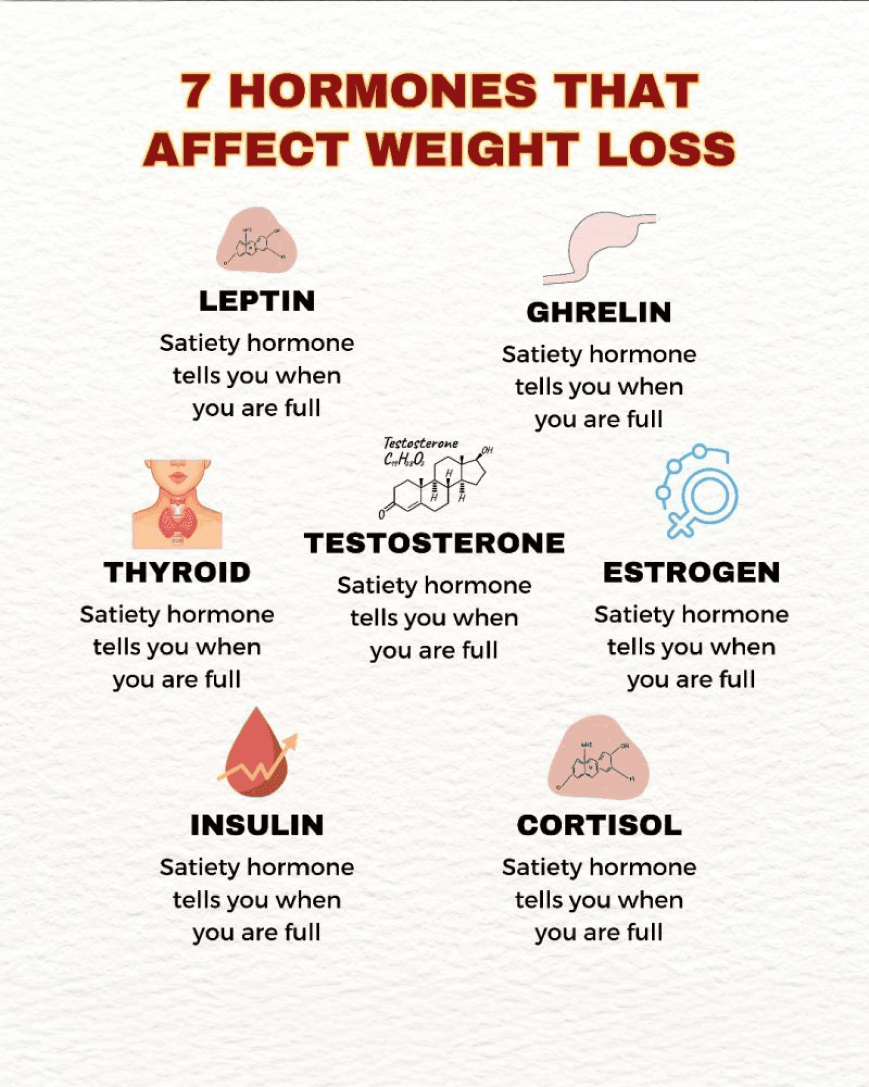 Infographic of 7 hormones affecting weight loss including leptin, ghrelin, thyroid, testosterone, estrogen, insulin, and cortisol.