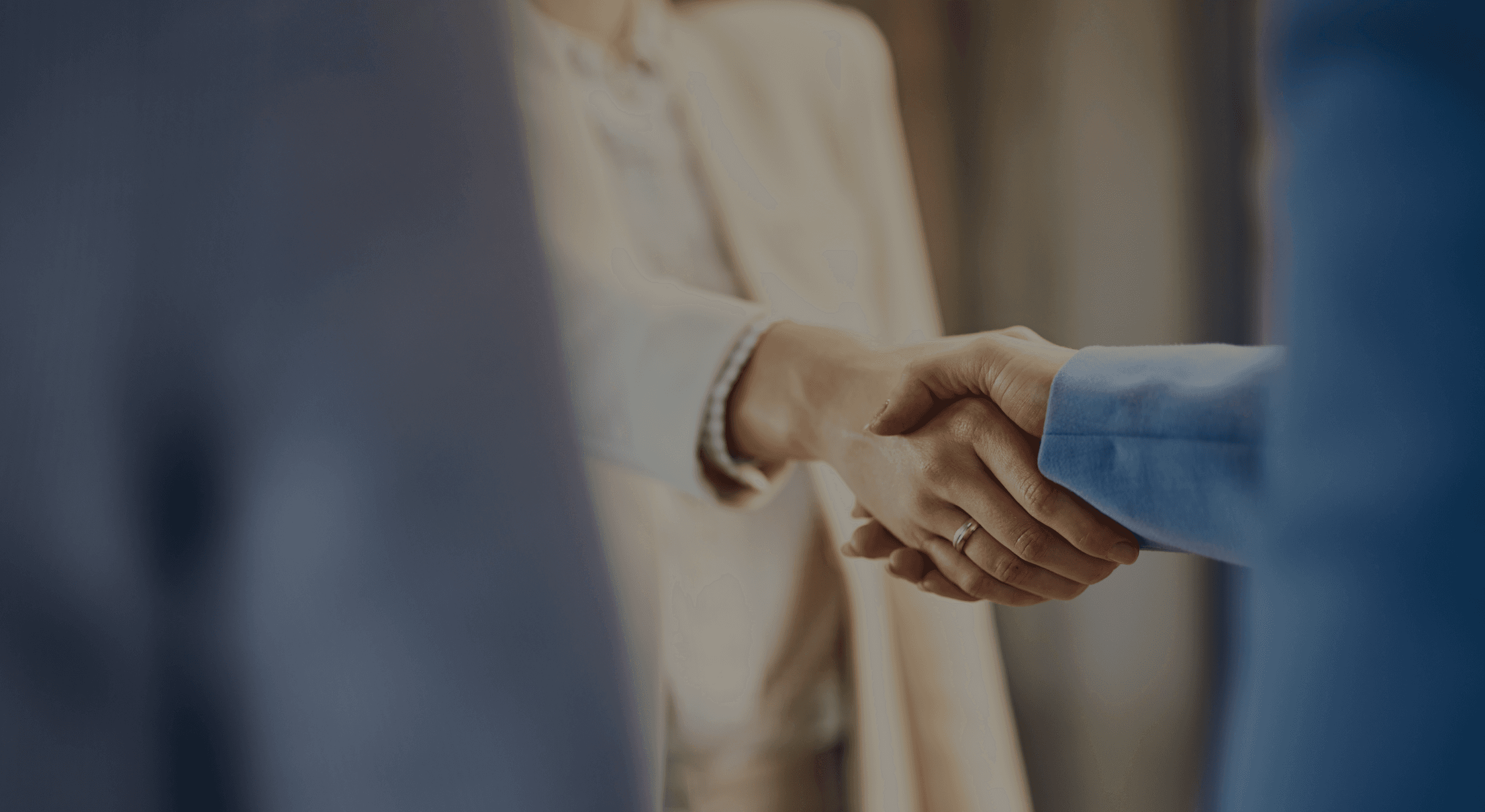 Website, Digital Platform