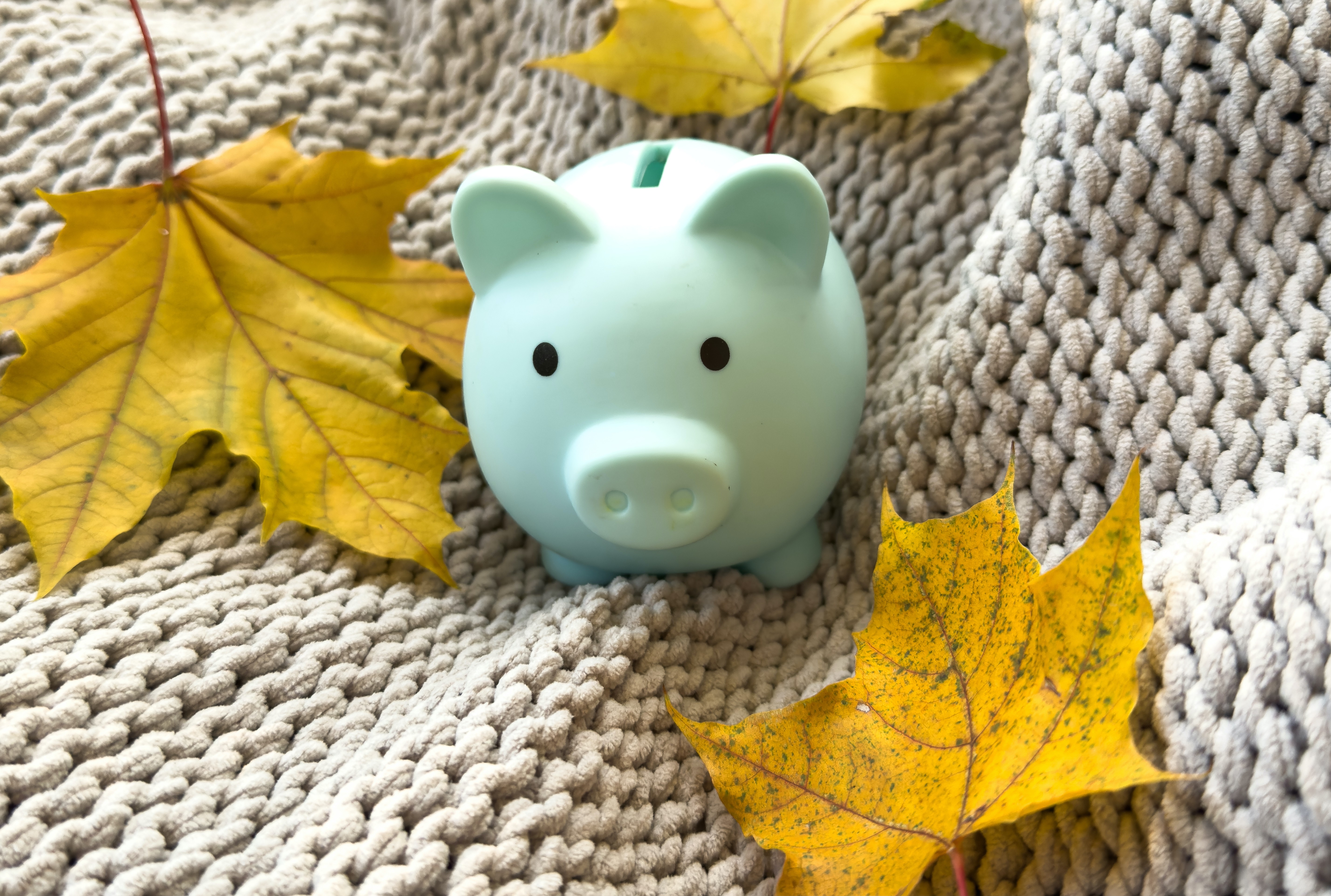 piggy-bank-sitting-on-a-fall-leaf-background-