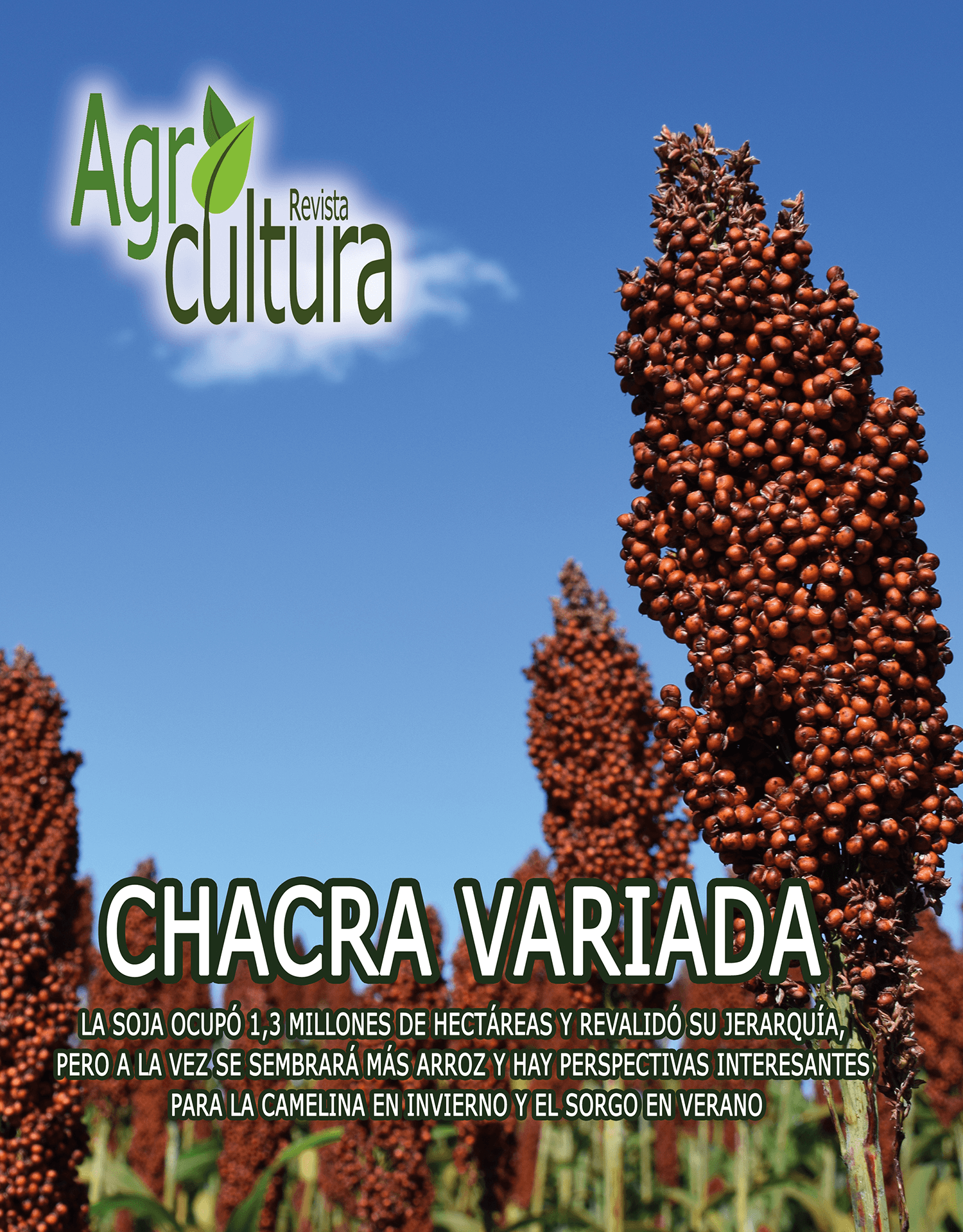 Nº 278 Agricultura III/2024
