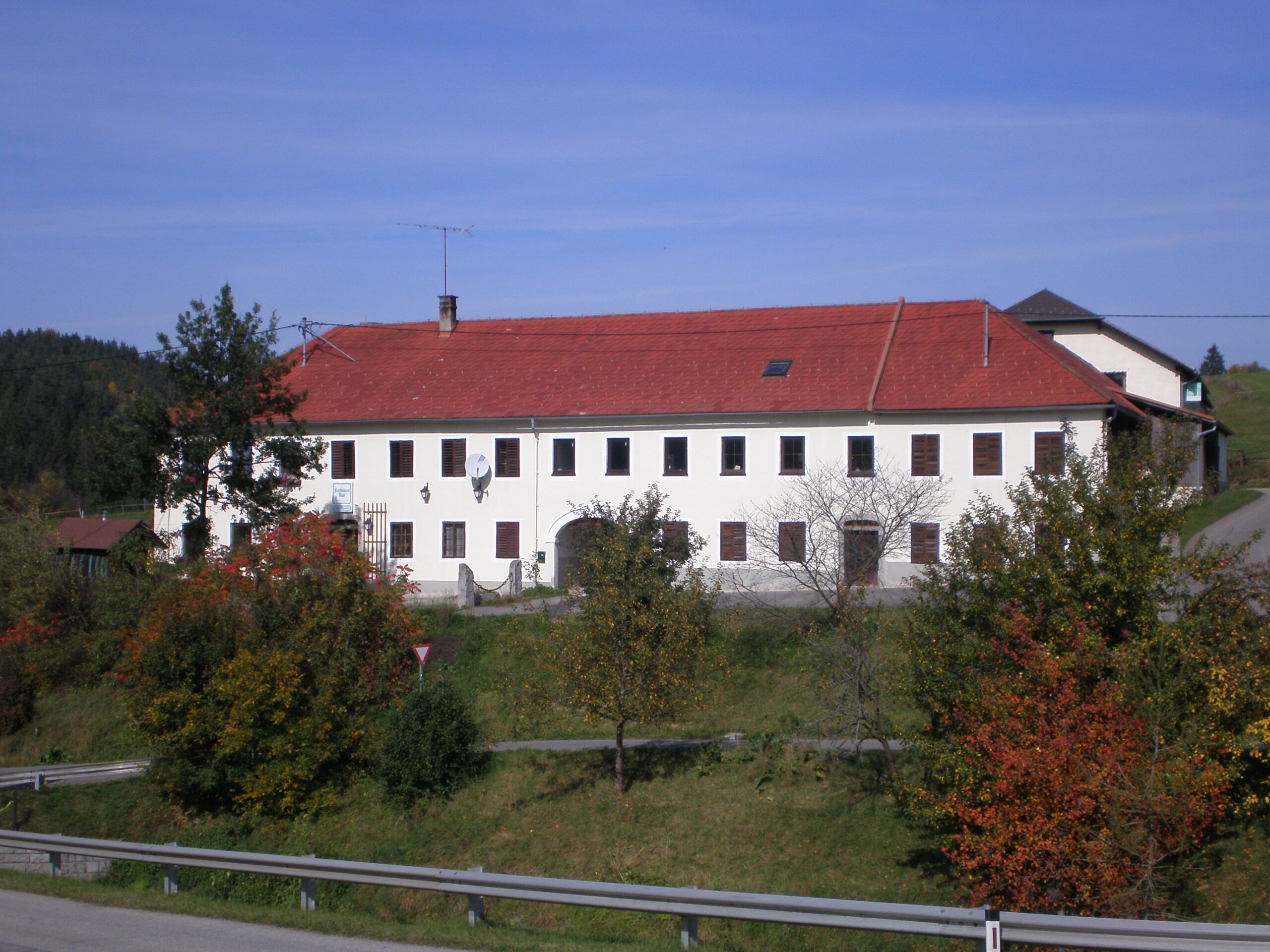 Close-up of lush, dark green leaves, some glossy and wet, against a muted background.