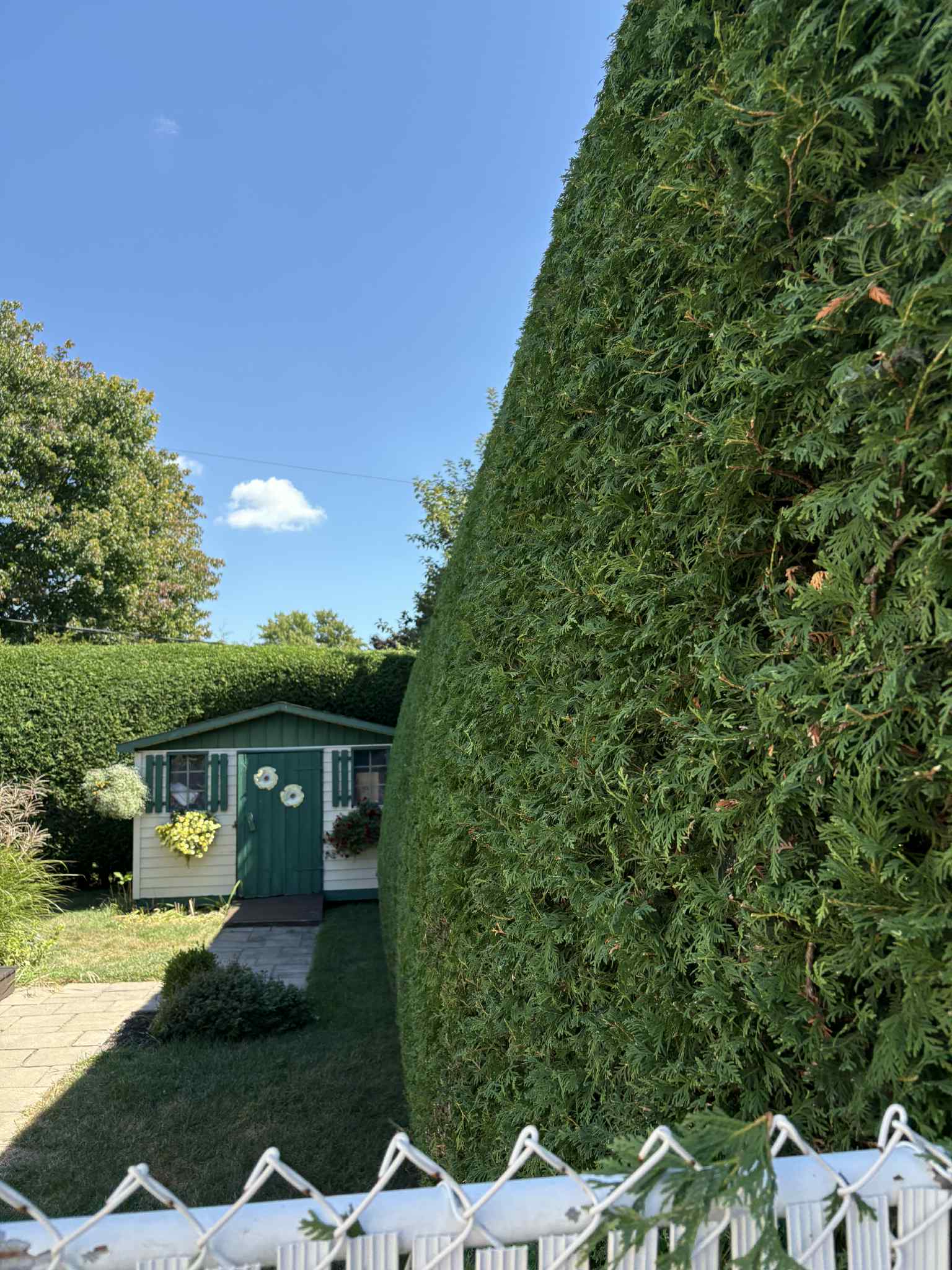 Aménagement paysager moderne avec bordure de trottoir, plantes et arbustes entretenus par Pelouse Men Paysagement.