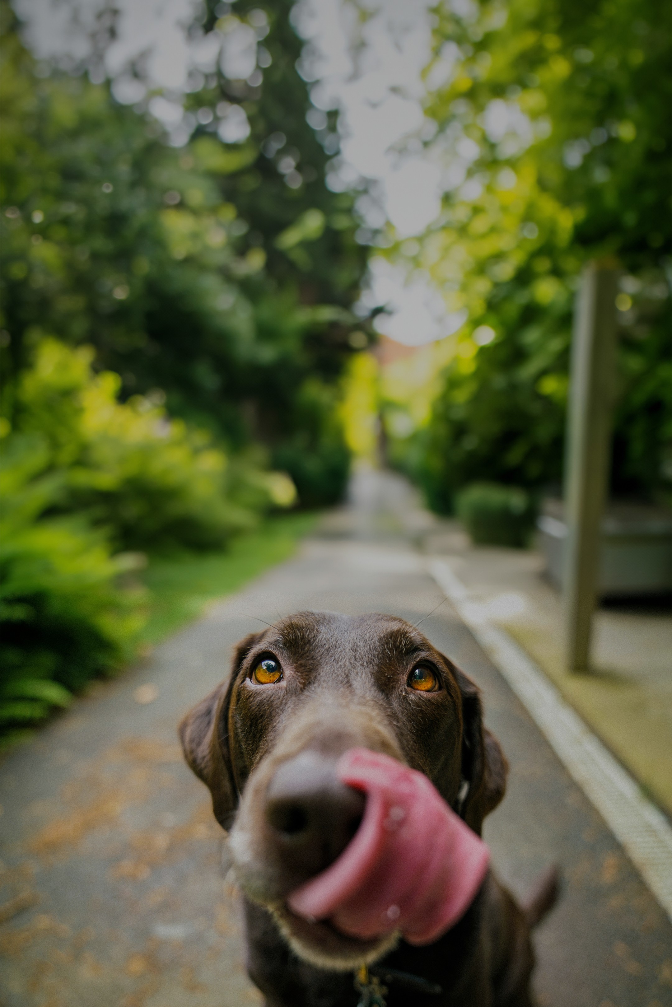 The Art of Website Typography: Best Practices and Tips