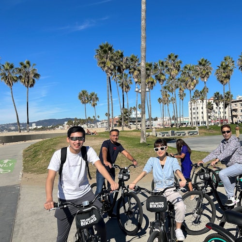 Cuatro personas en bicicletas con alquileres de "Unlimited Biking", en un camino soleado bordeado de palmeras y edificios al fondo.
